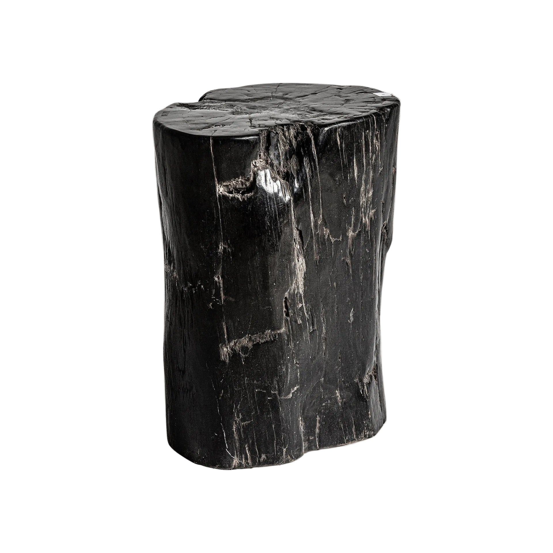 TELTI Side Table Black Petrified Wood