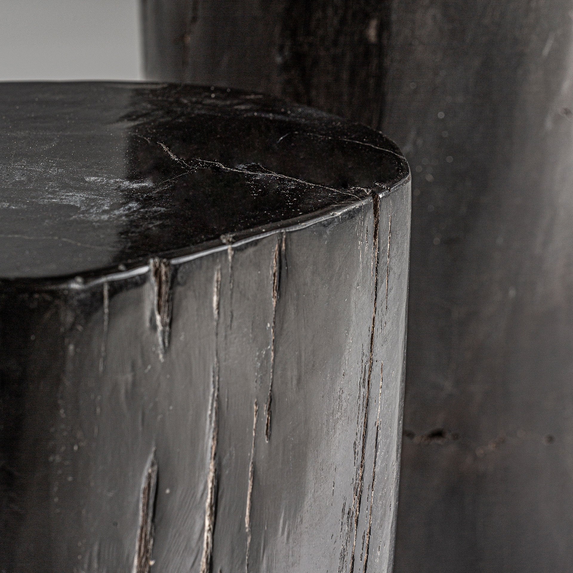 TELTI Side Table Black Petrified Wood