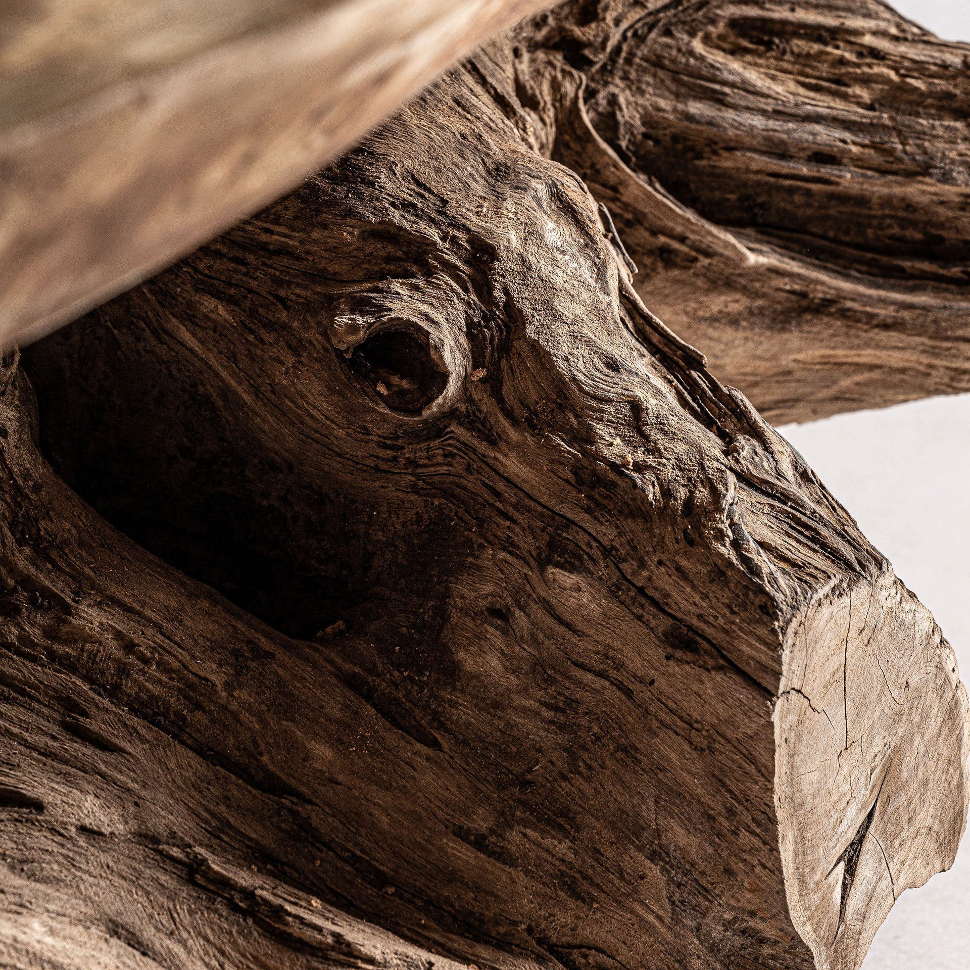 KANYE Coffee Table Suar Wood