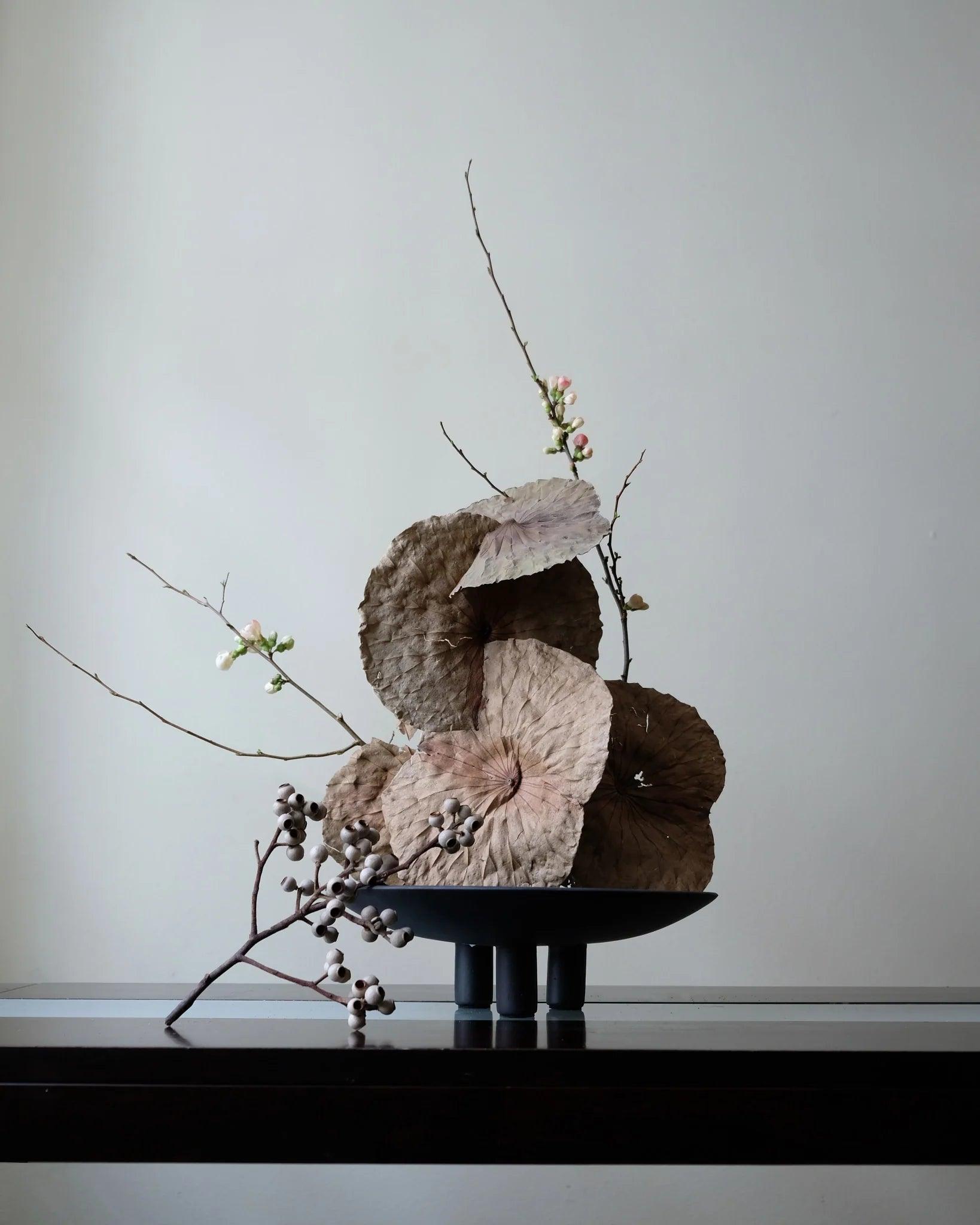 Misa DUCK PLATE ciemnobrązowy 101 Copenhagen Eye on Design