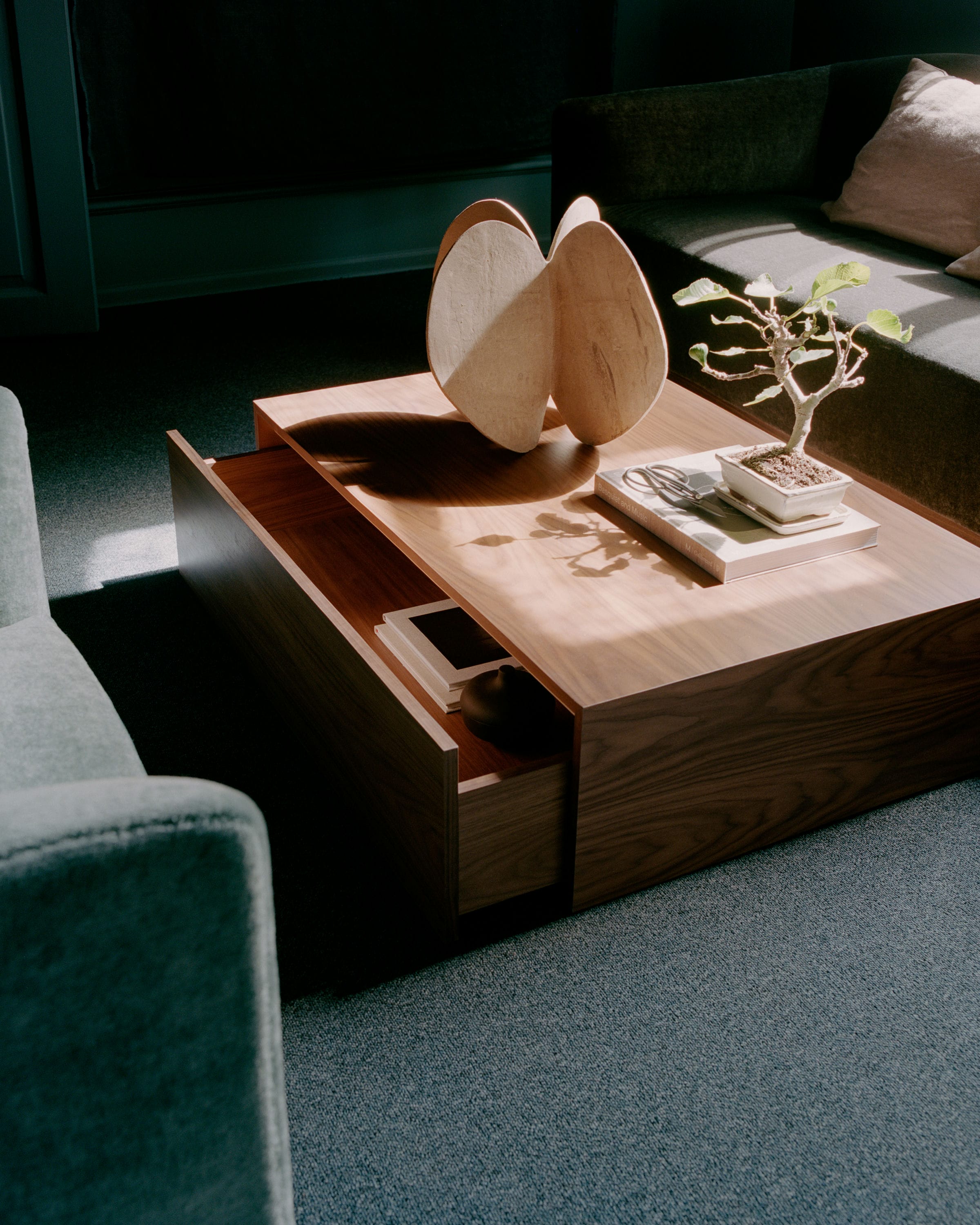 Coffee table with a drawer MASS Walnut veneer