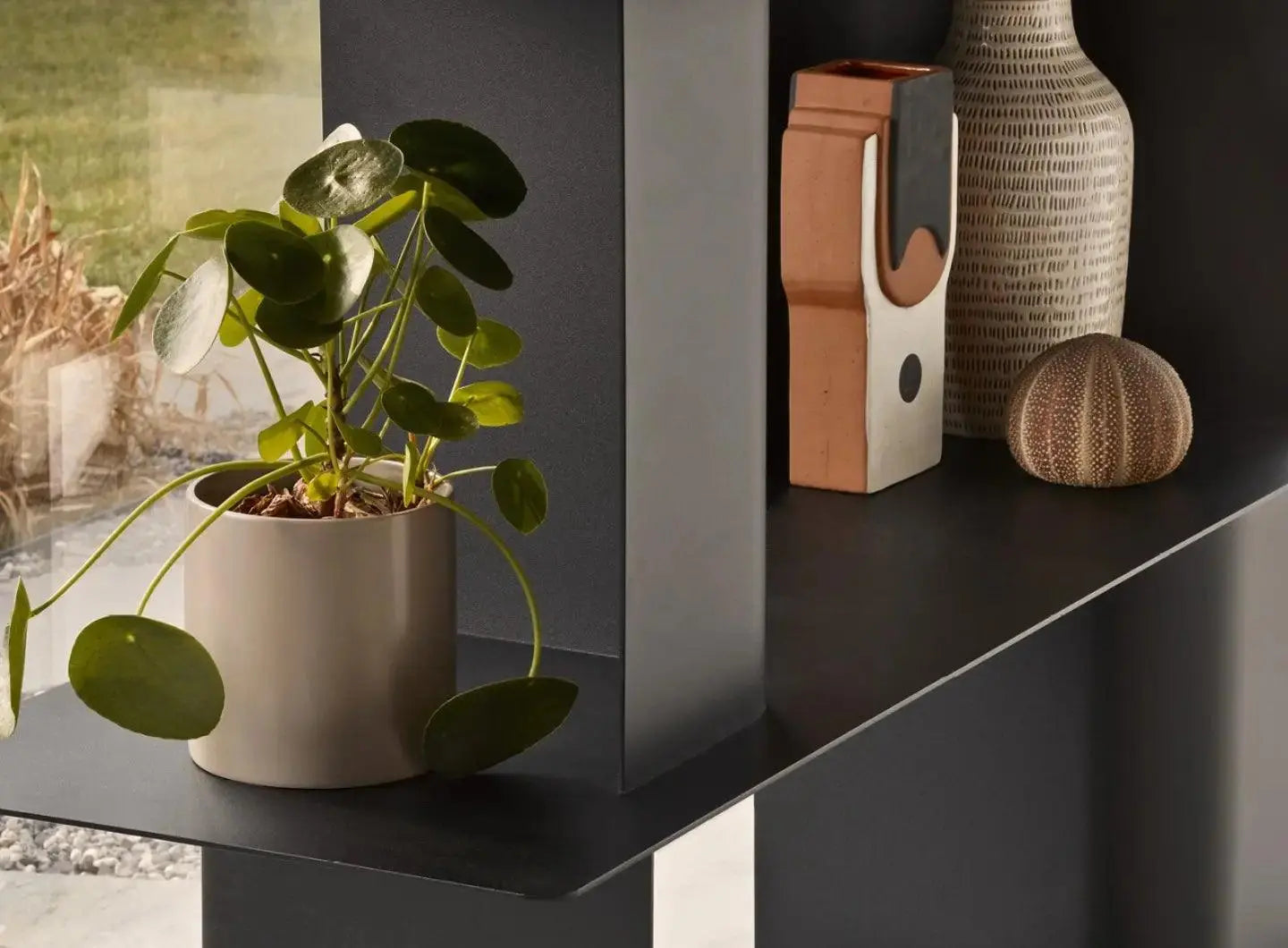 Regał CARV matowy czarny – Calligaris