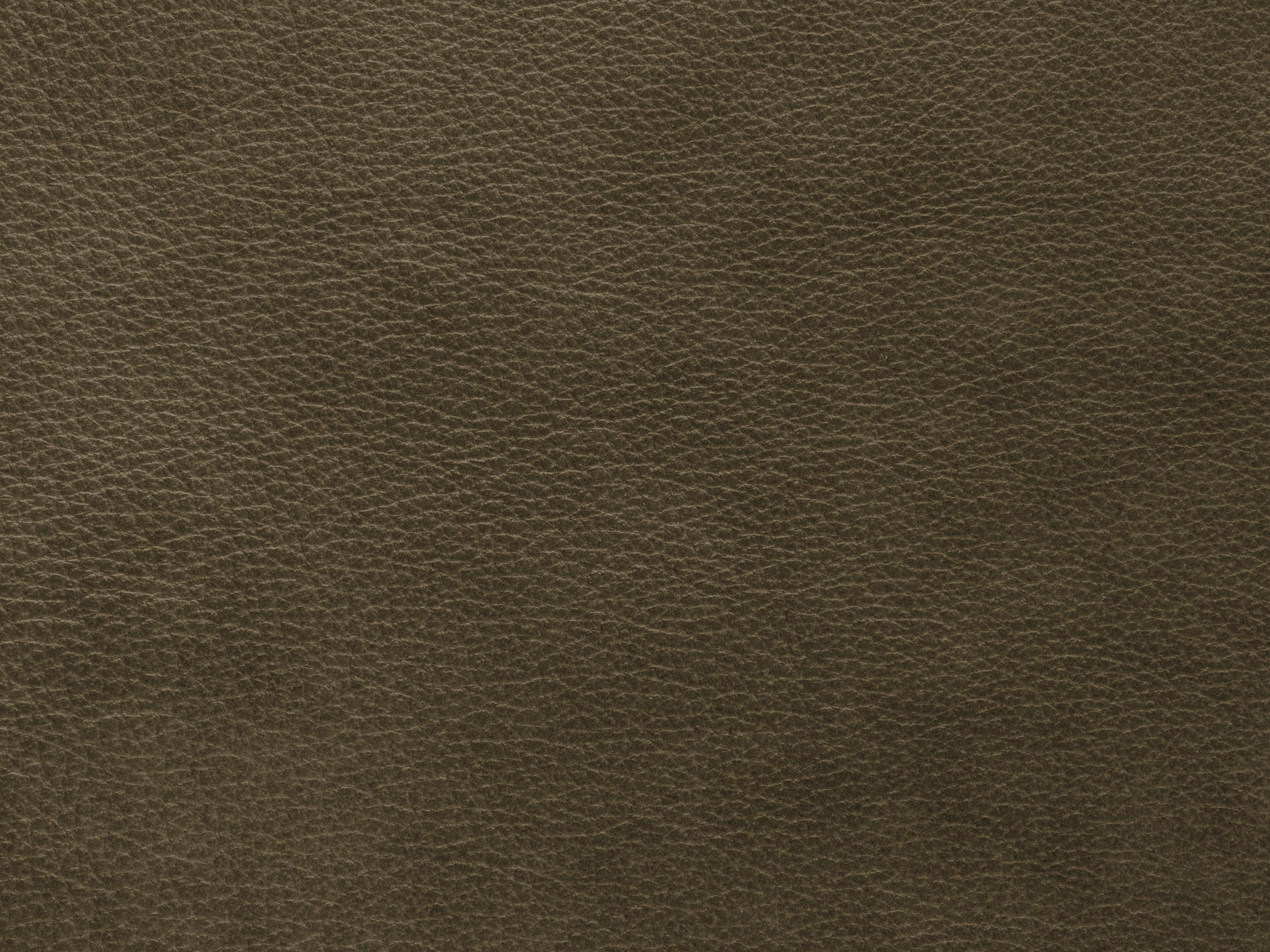 Sofa skórzana 3-osobowa MONI oliwkowy Maison Heritage Eye on Design