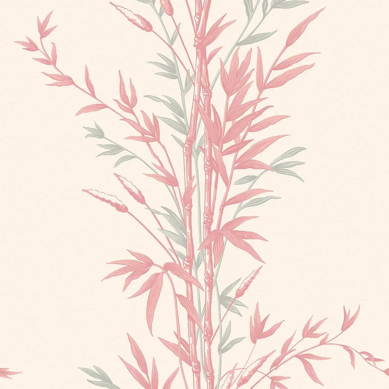Tapeta ARCHIVE ANTHOLOGY - Bamboo róż na pergaminie Cole & Son Default Title Eye on Design