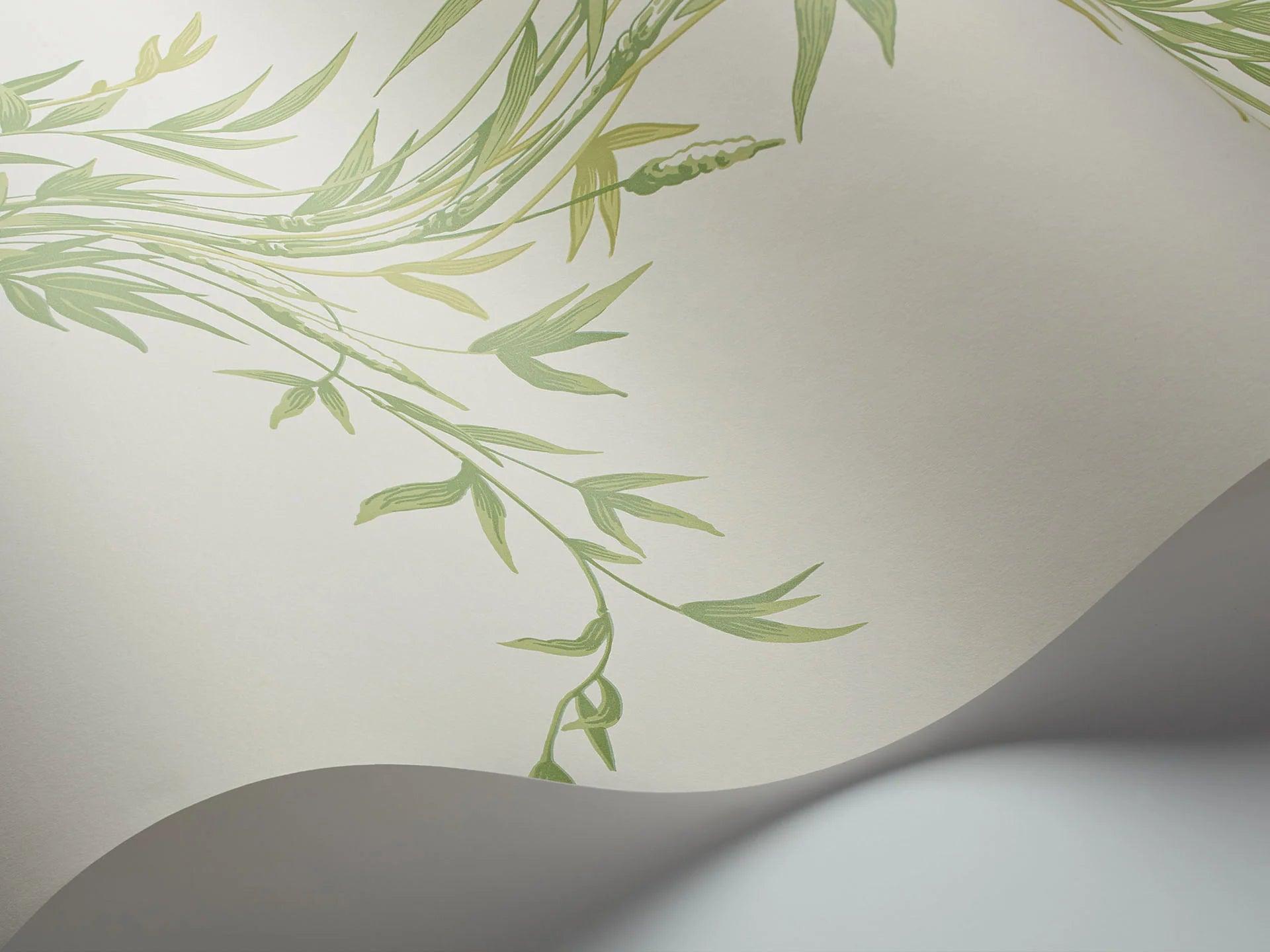 Tapeta ARCHIVE ANTHOLOGY - Bamboo zielony na bieli Cole & Son Eye on Design