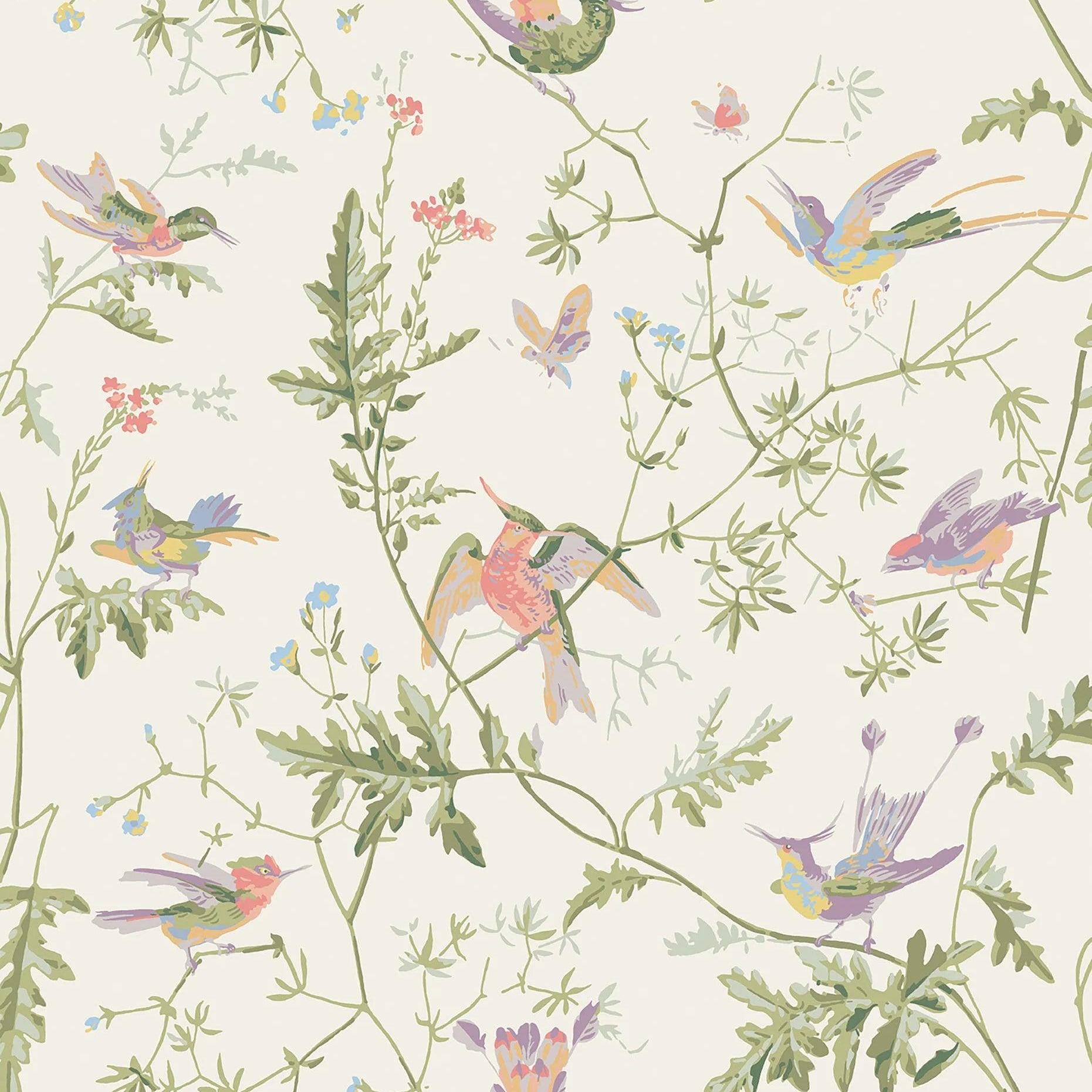 Tapeta ARCHIVE ANTHOLOGY - Hummingbirds oliwkowy na białym Cole & Son Default Title Eye on Design