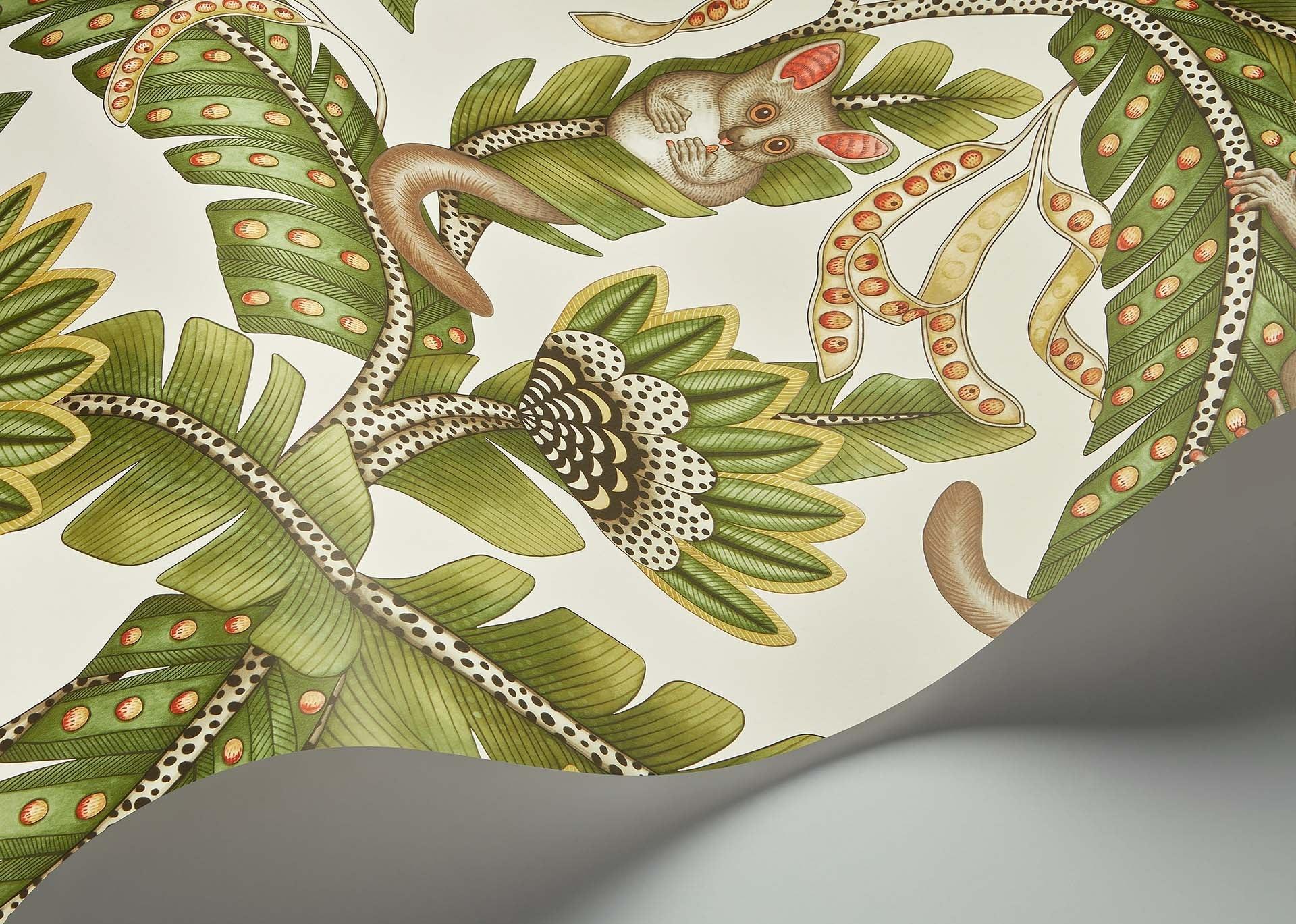 Tapeta ARDMORE JABULA - Bush Baby oliwkowy na kremowym Cole & Son Eye on Design