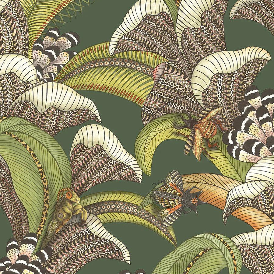 Tapeta ARDMORE JABULA - Hoopoe Leaves ciemny zielony Cole & Son Eye on Design