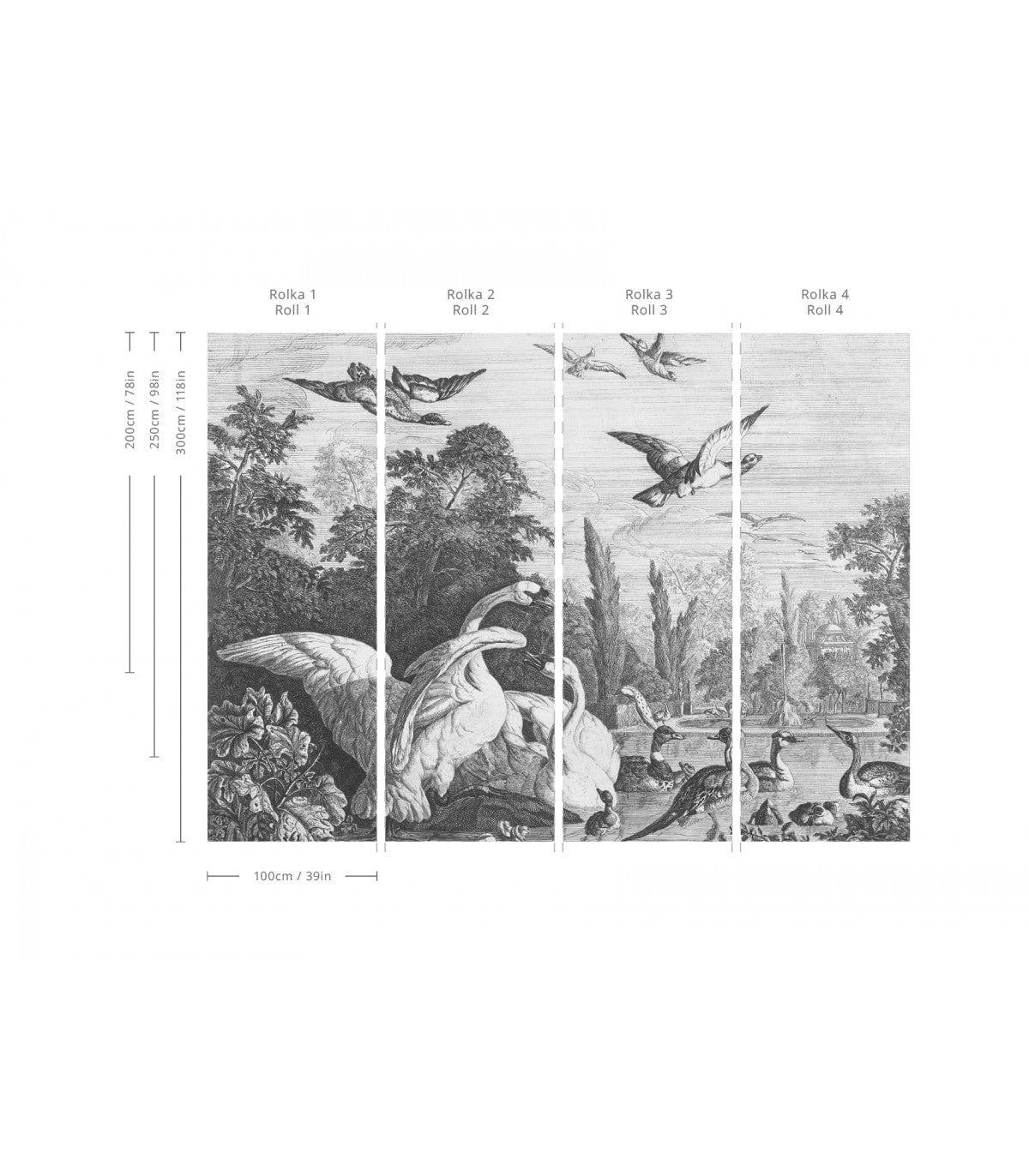 Tapeta BLACK SWANS Wallcolors Eye on Design