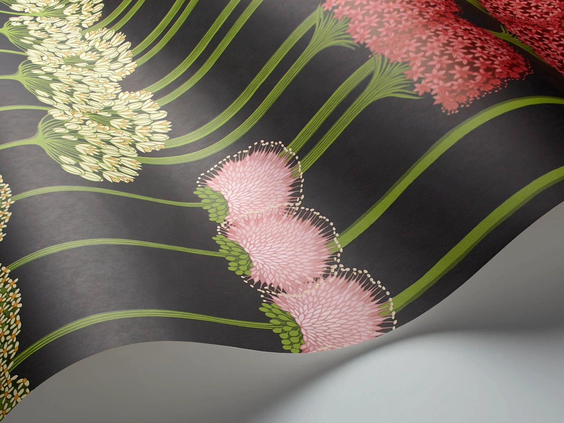 Tapeta BOTANICAL BOTANICA - Allium róż na czarnym Cole & Son Eye on Design