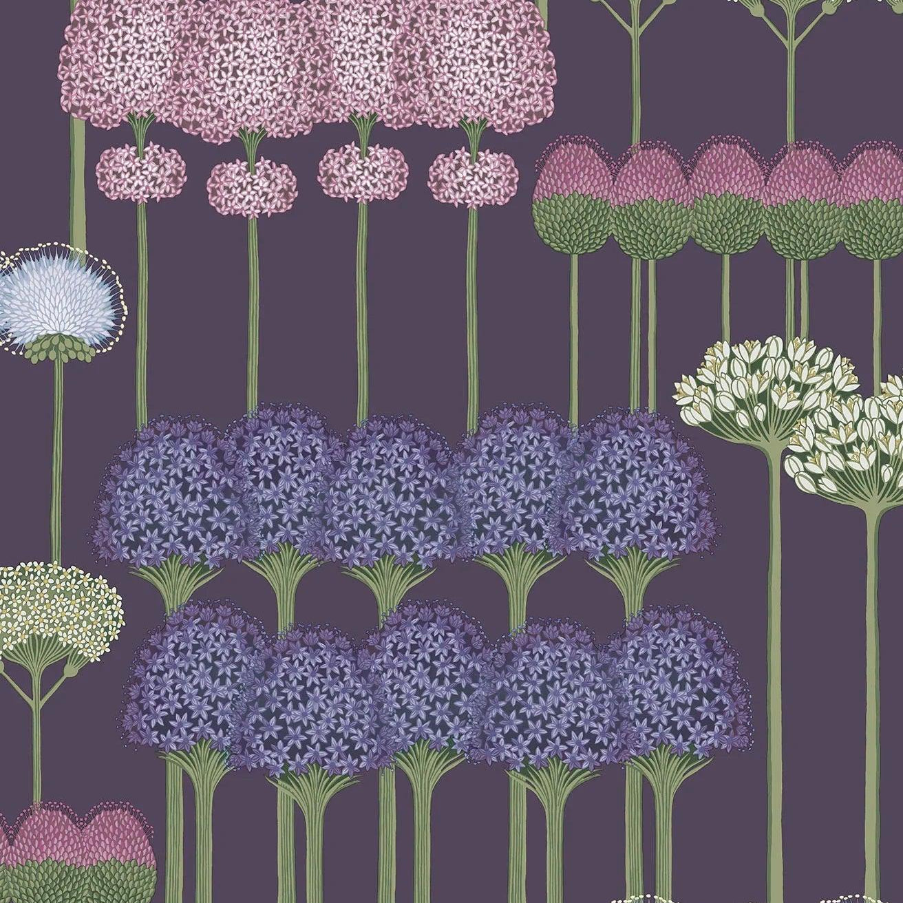 Tapeta BOTANICAL BOTANICA - Allium wrzos na ciemnym fiolecie Cole & Son Eye on Design