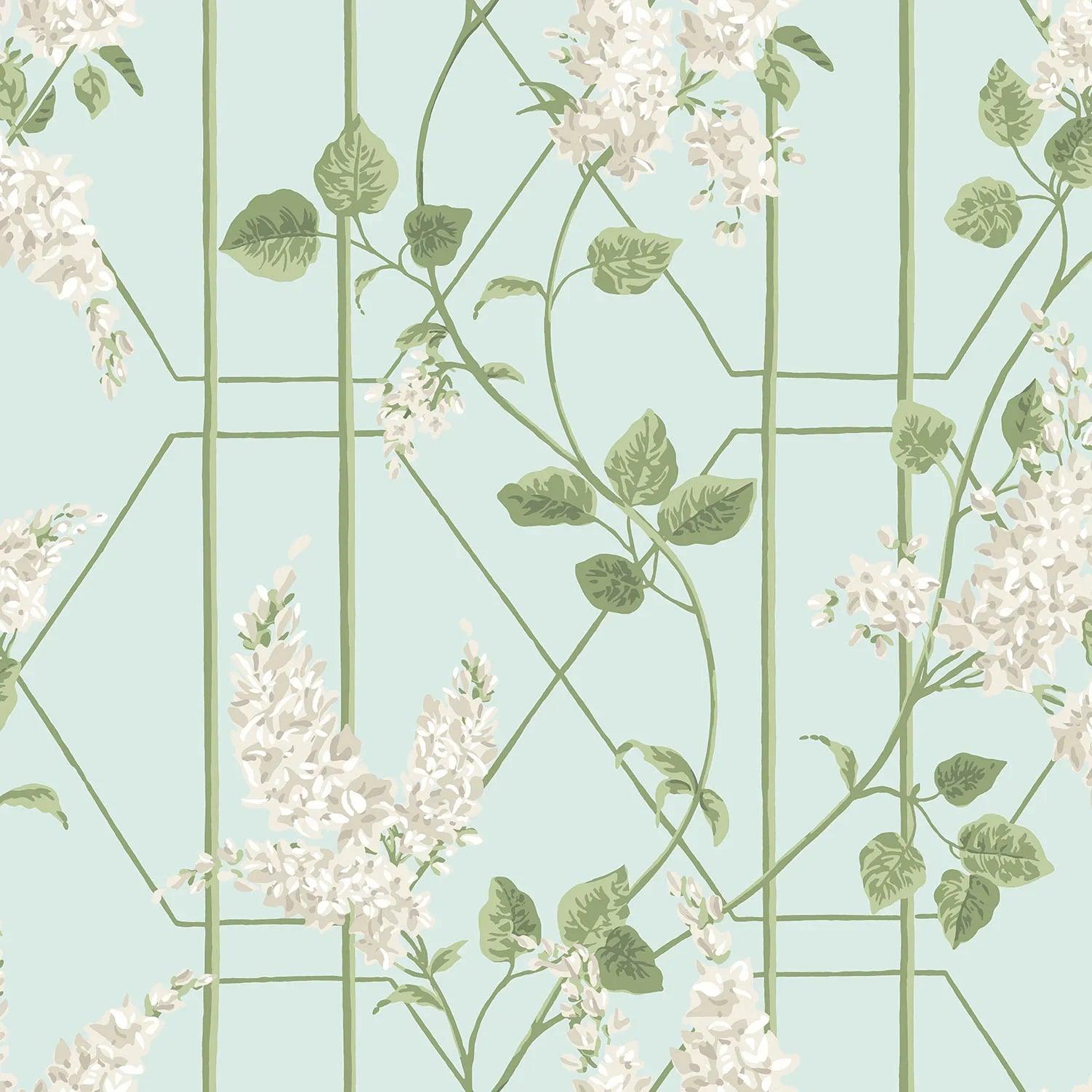 Tapeta BOTANICAL BOTANICA - Wisteria miętowy Cole & Son Eye on Design