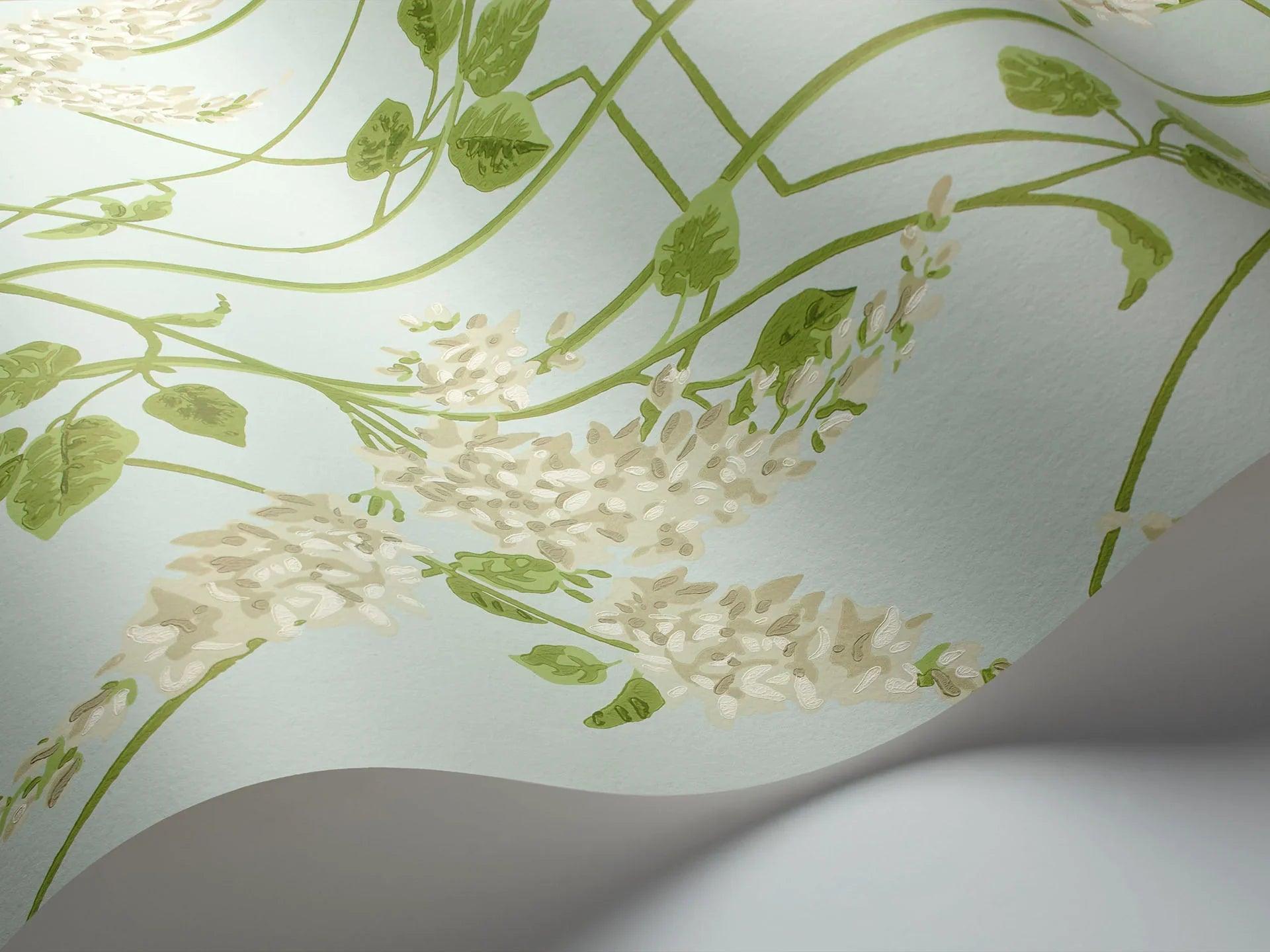 Tapeta BOTANICAL BOTANICA - Wisteria miętowy Cole & Son Eye on Design