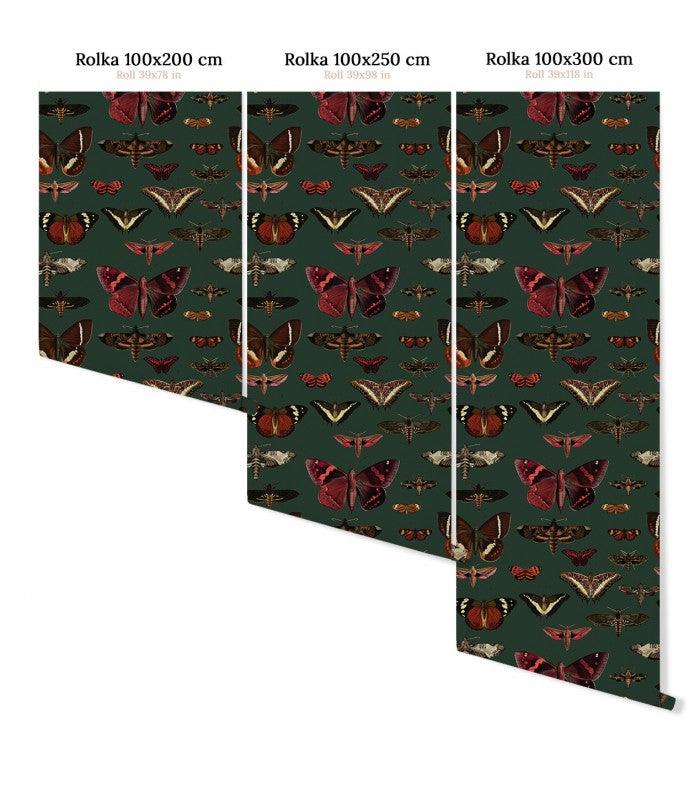Tapeta BUTTERFLIES VERT Wallcolors Eye on Design