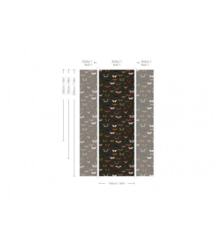 Tapeta Colorful Butterfly Green Wallcolors Eye on Design
