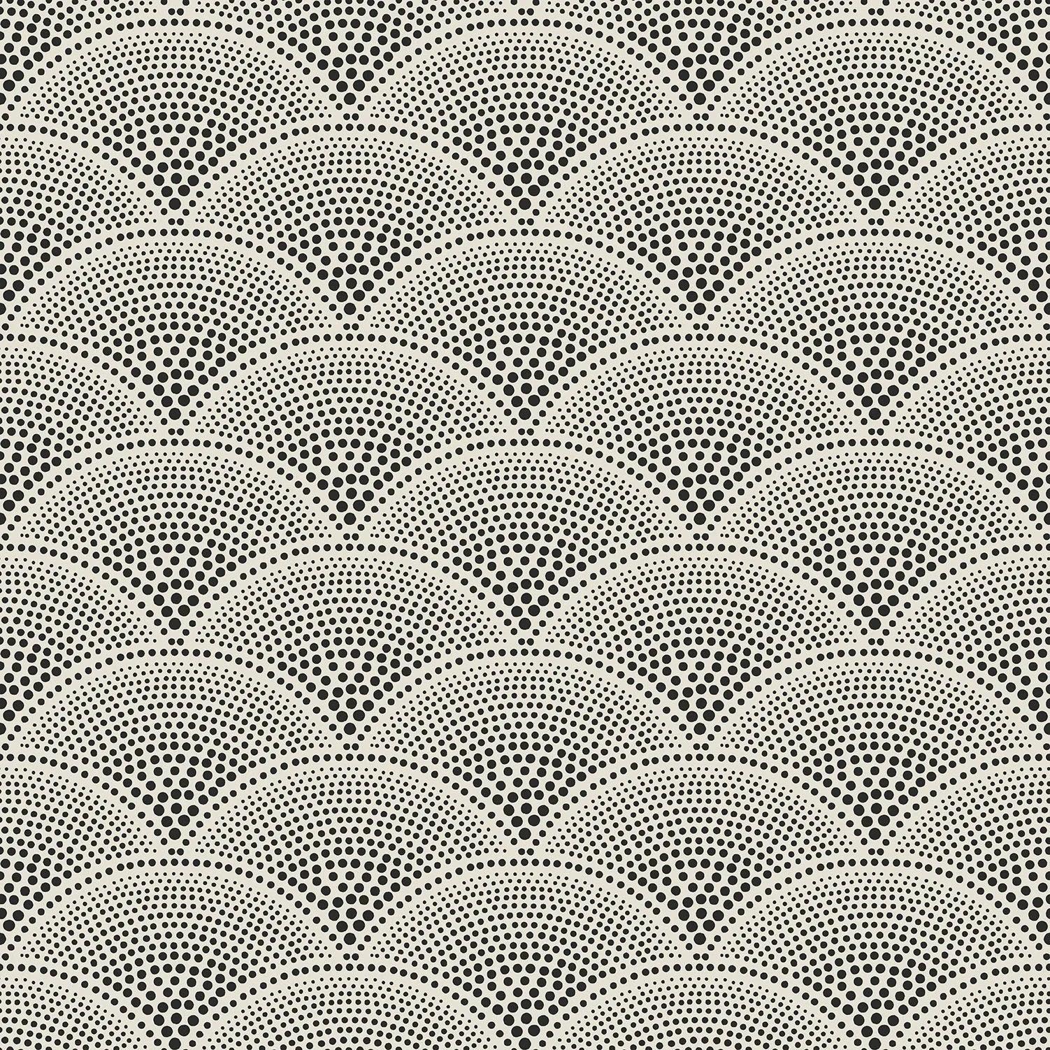 Tapeta CONTEMPORARY COLLECTION - Feather Fan czarny Cole & Son Eye on Design