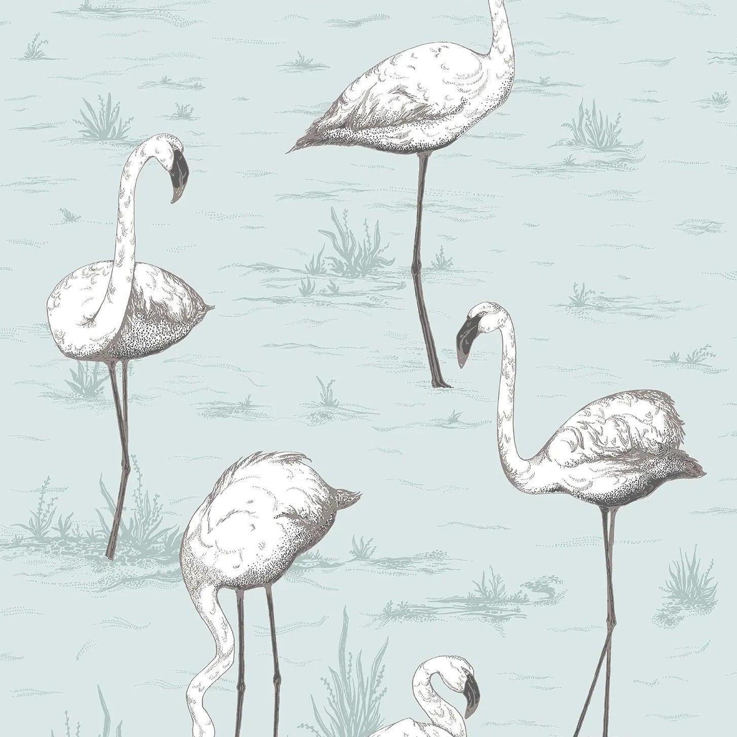 Tapeta CONTEMPORARY COLLECTION - Flamingos niebieski Cole & Son Default Title Eye on Design