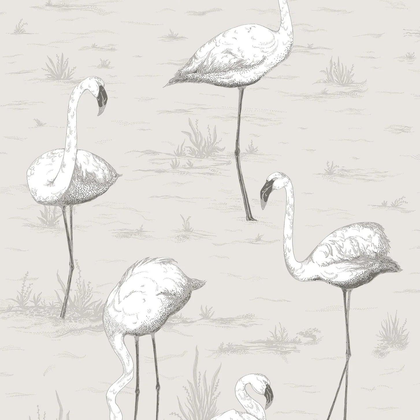 Tapeta CONTEMPORARY COLLECTION - Flamingos szary Cole & Son Eye on Design