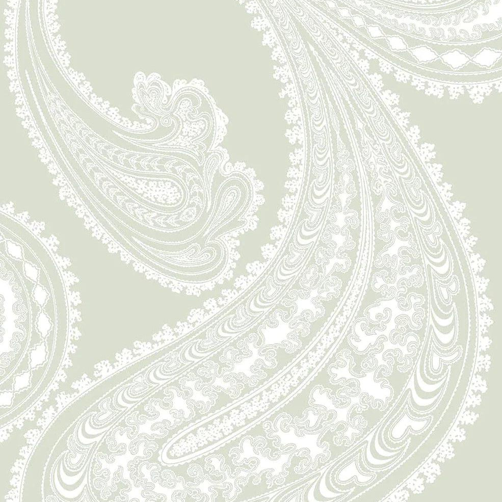 Tapeta CONTEMPORARY COLLECTION - Rajapur jasna oliwka Cole & Son Eye on Design