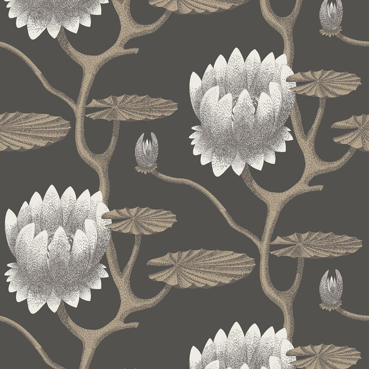Tapeta CONTEMPORARY COLLECTION - Summer Lily brązowy Cole & Son Default Title Eye on Design