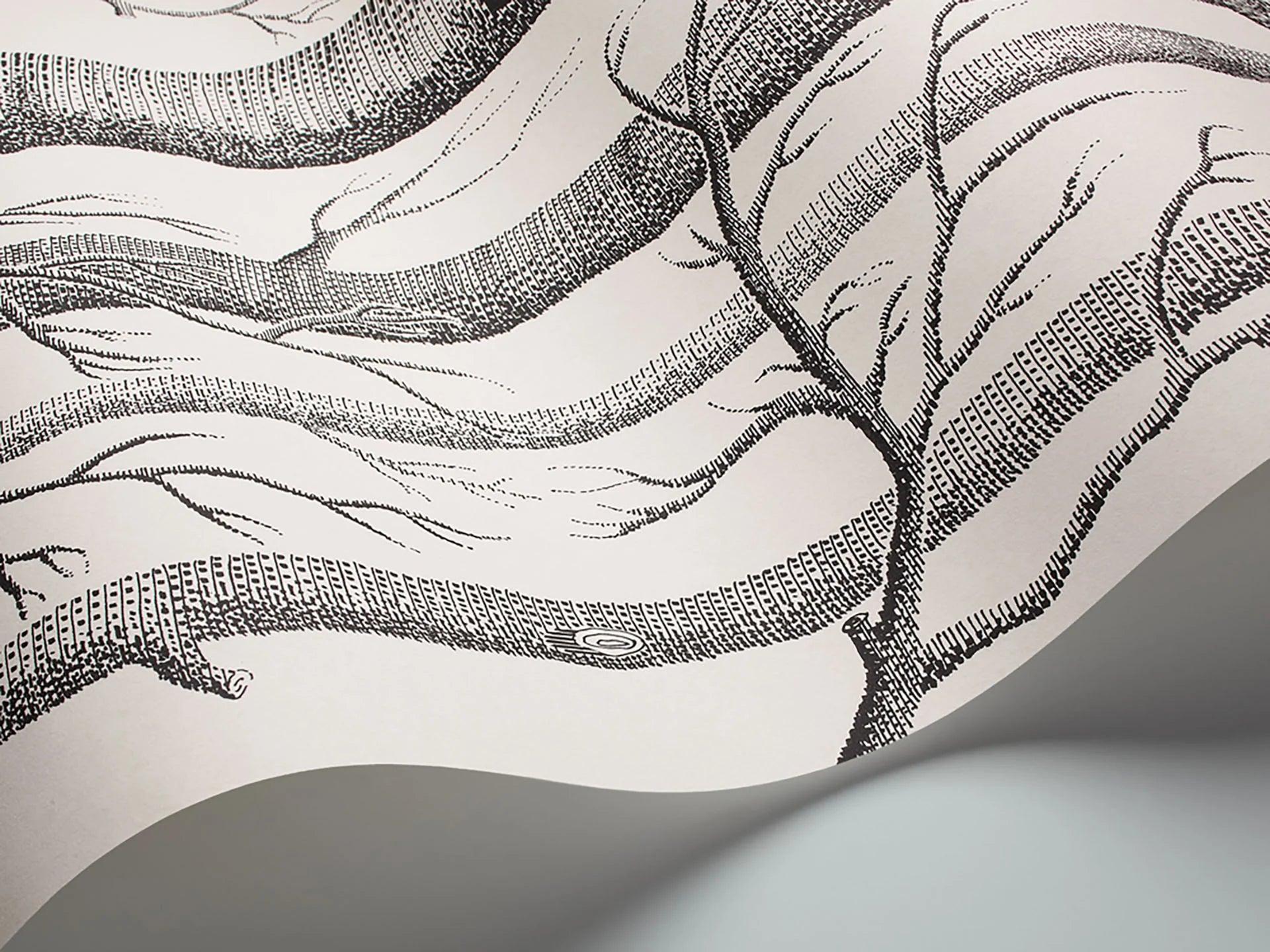 Tapeta CONTEMPORARY COLLECTION - Woods biały Cole & Son Eye on Design