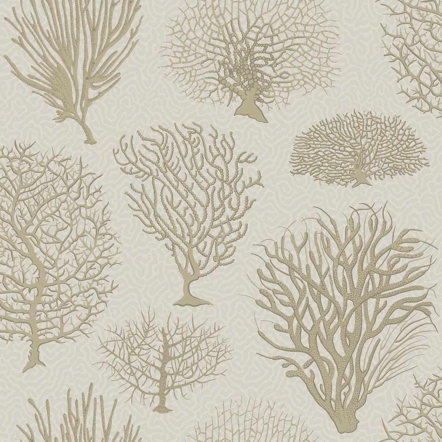 Tapeta CURIO - Seafern beżowy Cole & Son Default Title Eye on Design
