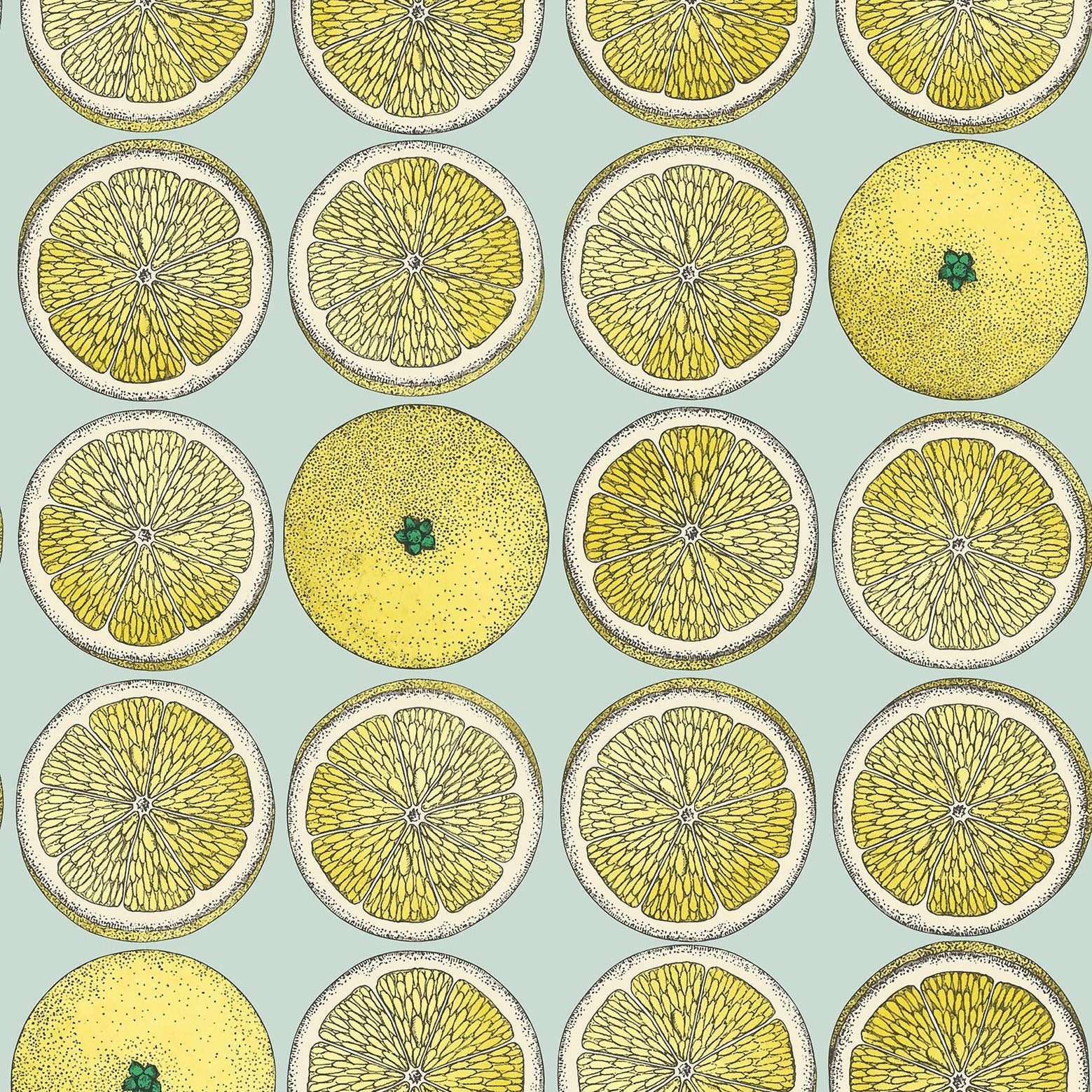 Tapeta FORNASETTI SENZA TEMPO - Arance cytryna Cole & Son Default Title Eye on Design