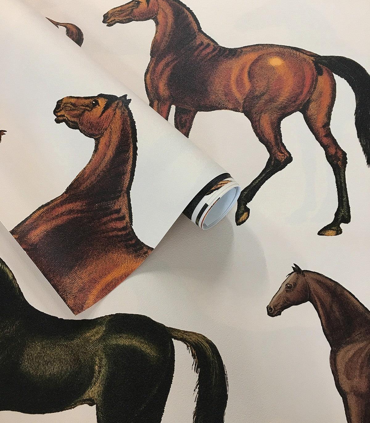 Tapeta HORSES beżowy Wallcolors Eye on Design