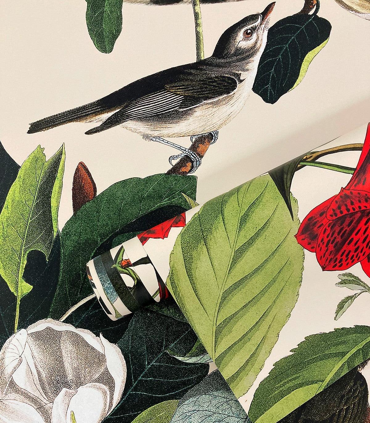 Tapeta THE JUNGLE BOOK Wallcolors Eye on Design