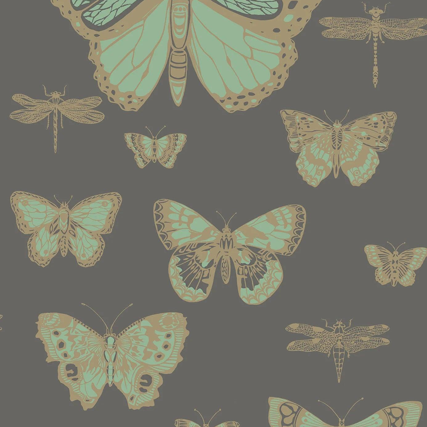 Tapeta WHIMSICAL - Butterflies & Dragonflies czarny Cole & Son Eye on Design