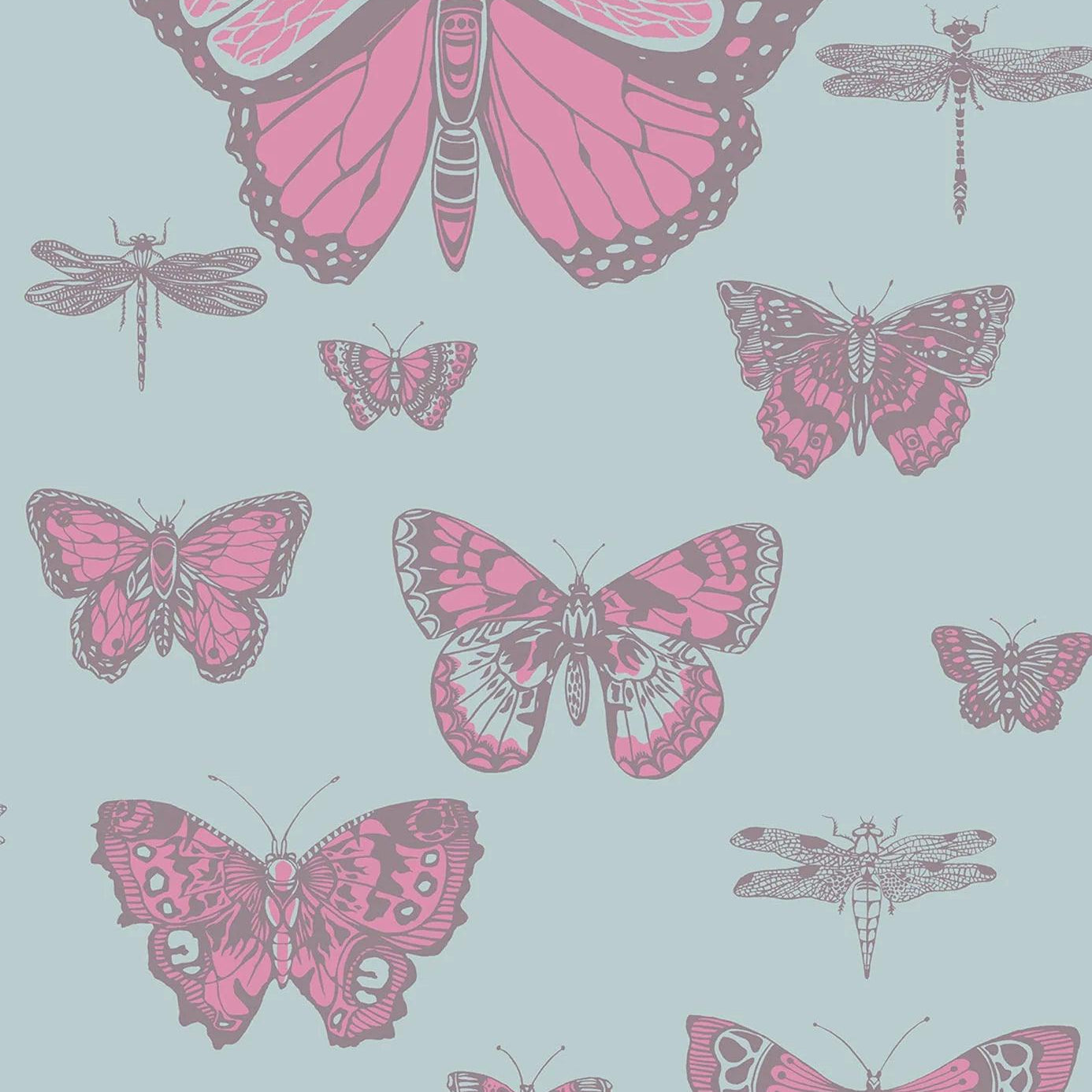 Tapeta WHIMSICAL - Butterflies & Dragonflies niebieski Cole & Son Eye on Design
