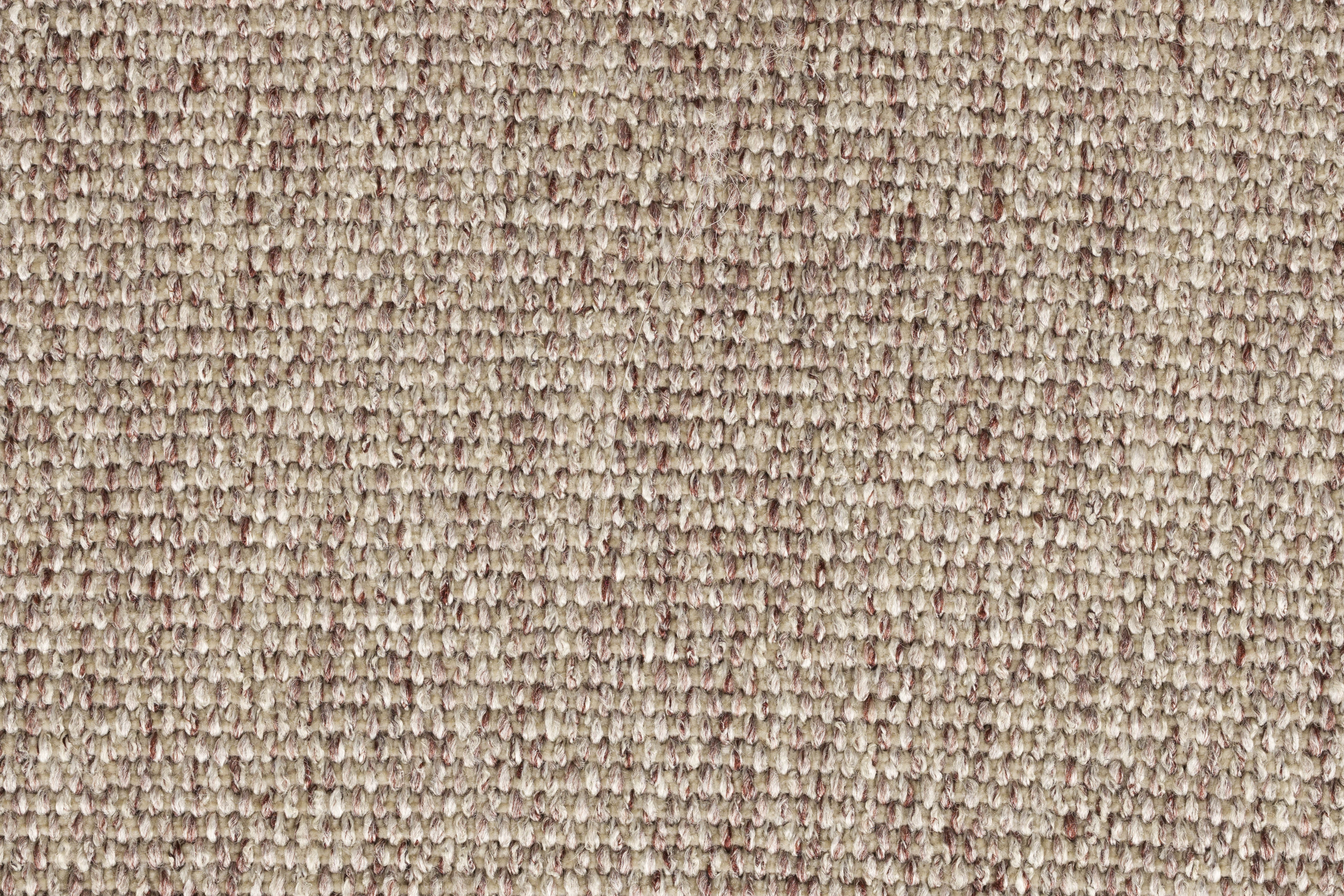 RODIN Beige Bar Stool with Wooden Base