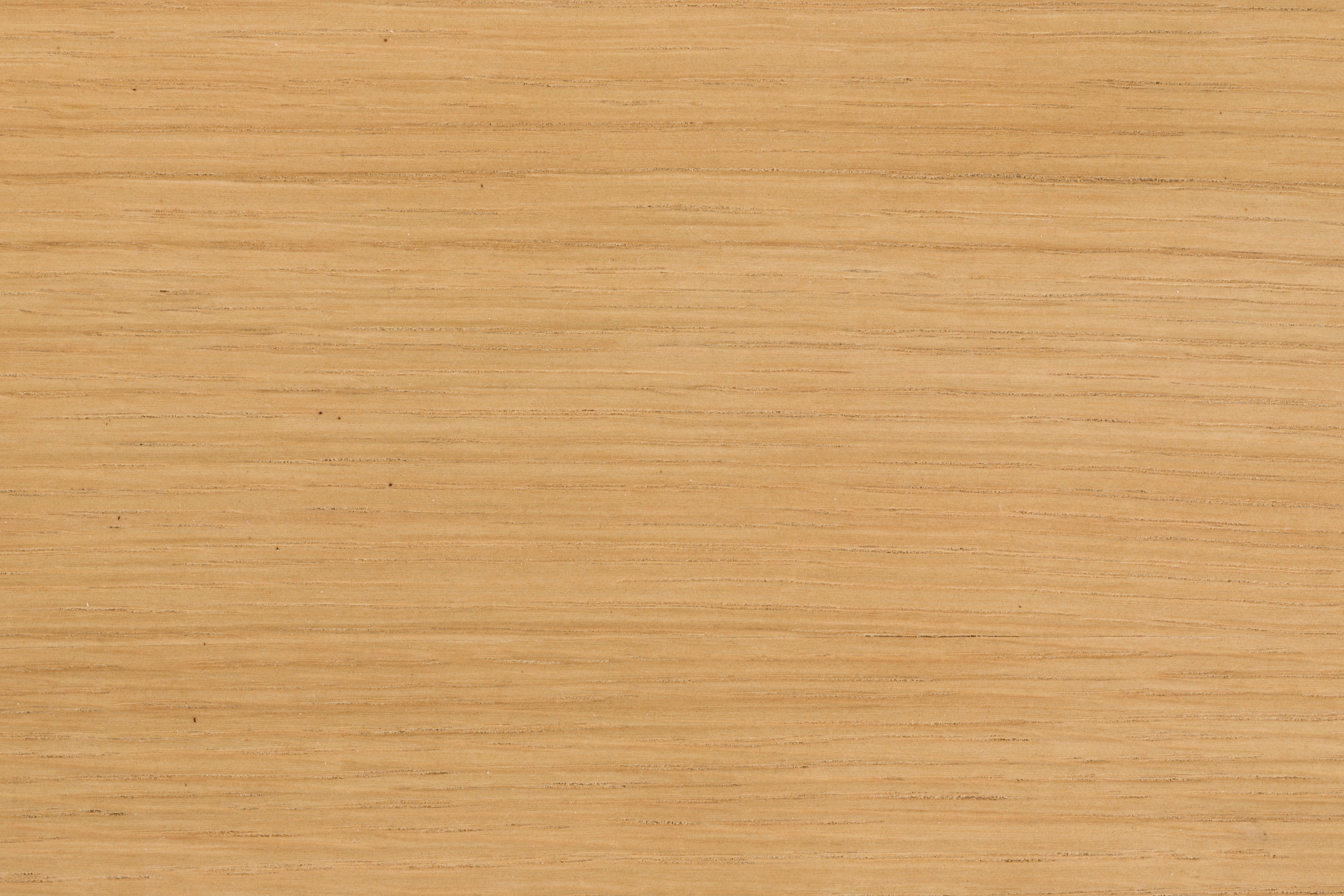 Židle NORTHWOOD jasně hnědá