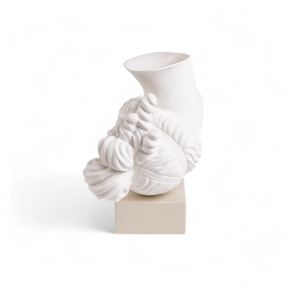 AMOR VOLAT White Vase