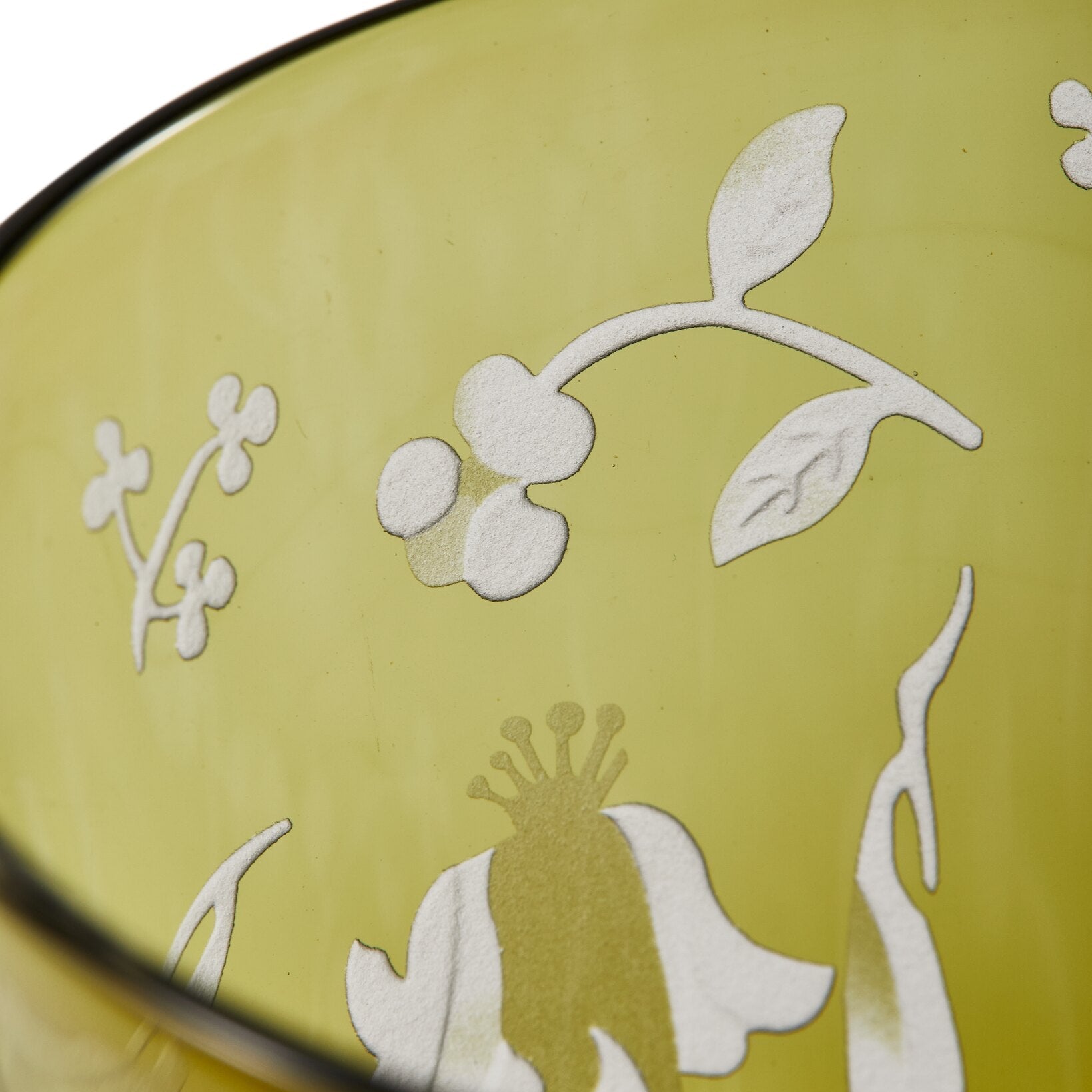 Sada sklenic ROZPTÝLENÉ KVĚTY olivová s pískovaným vzorem