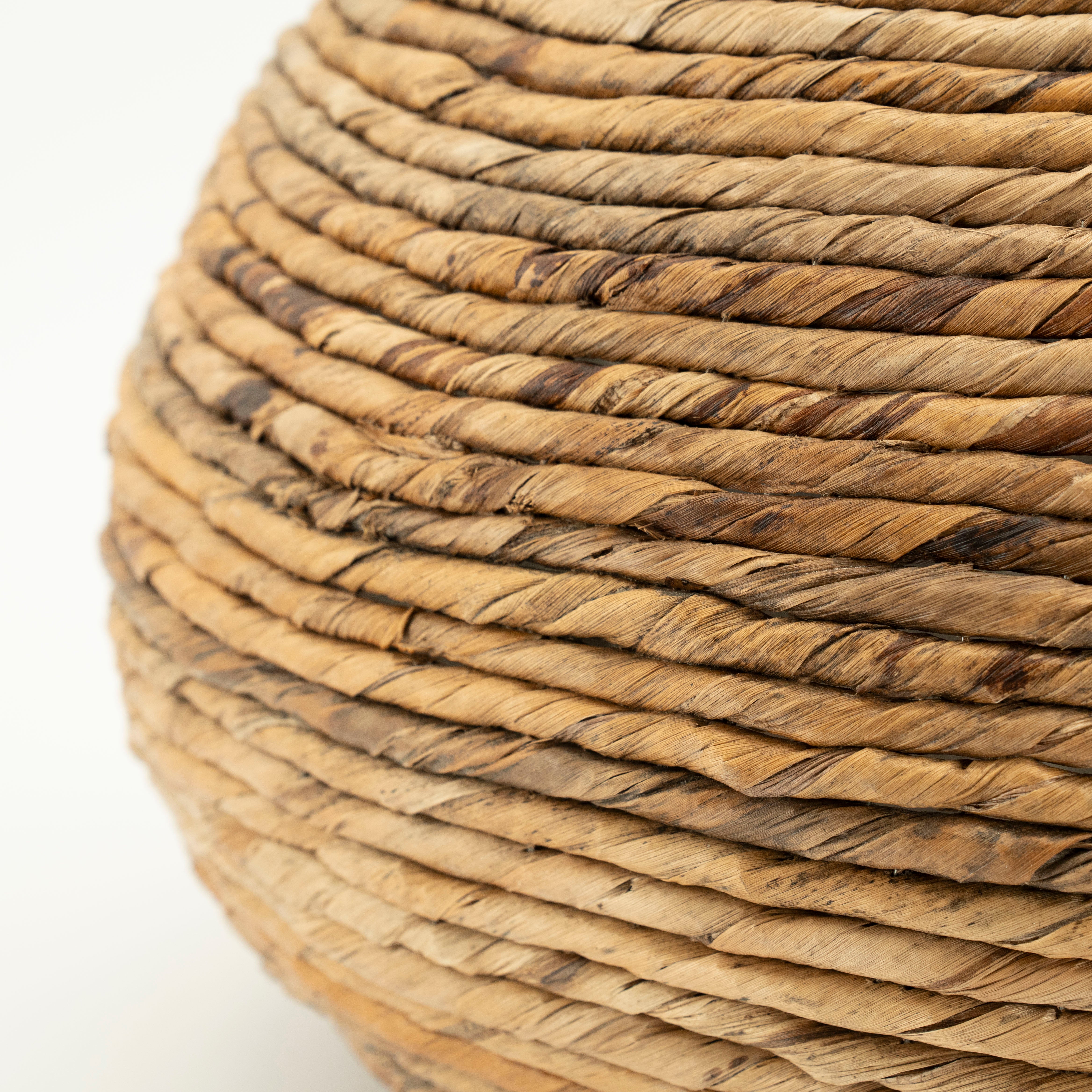 BENTI Banana Plant Pot