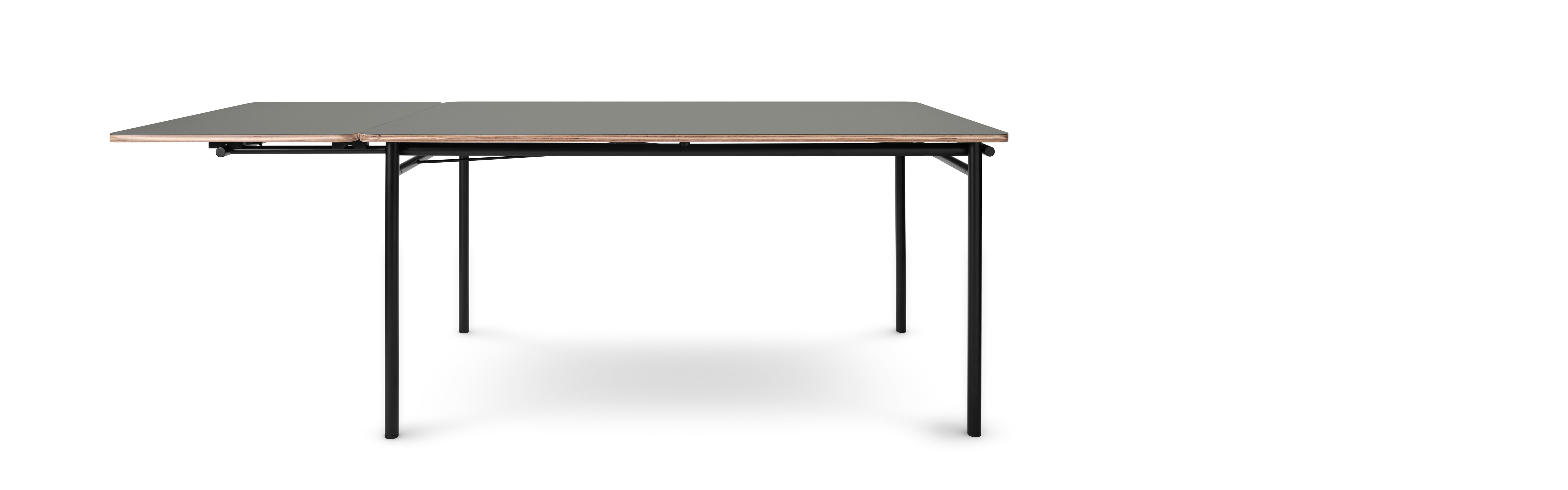 TAFFEL gray extendable table