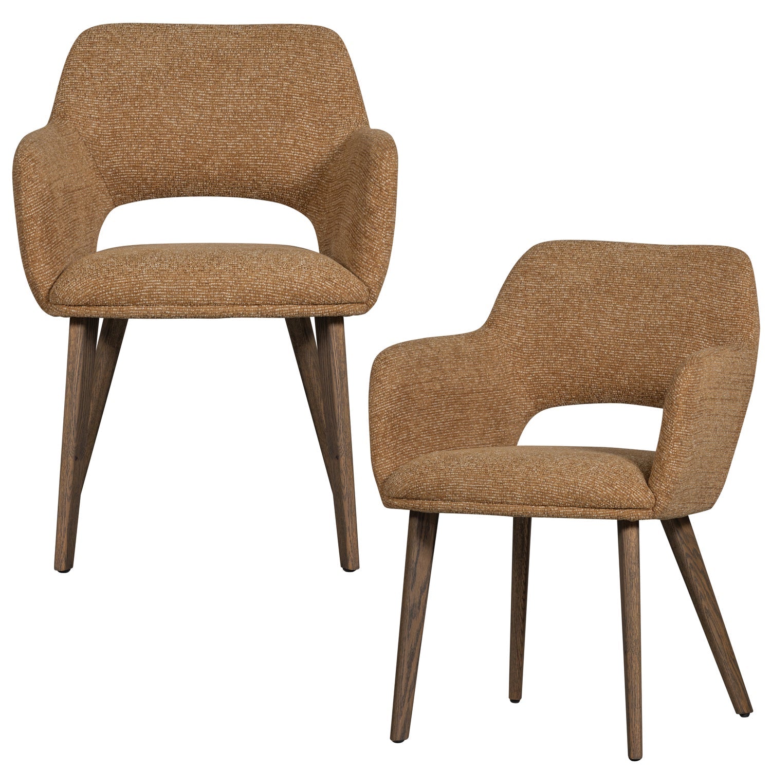 MURAT Chair brown with dark brown oak base