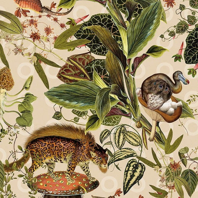 Animal Print Wallpapers