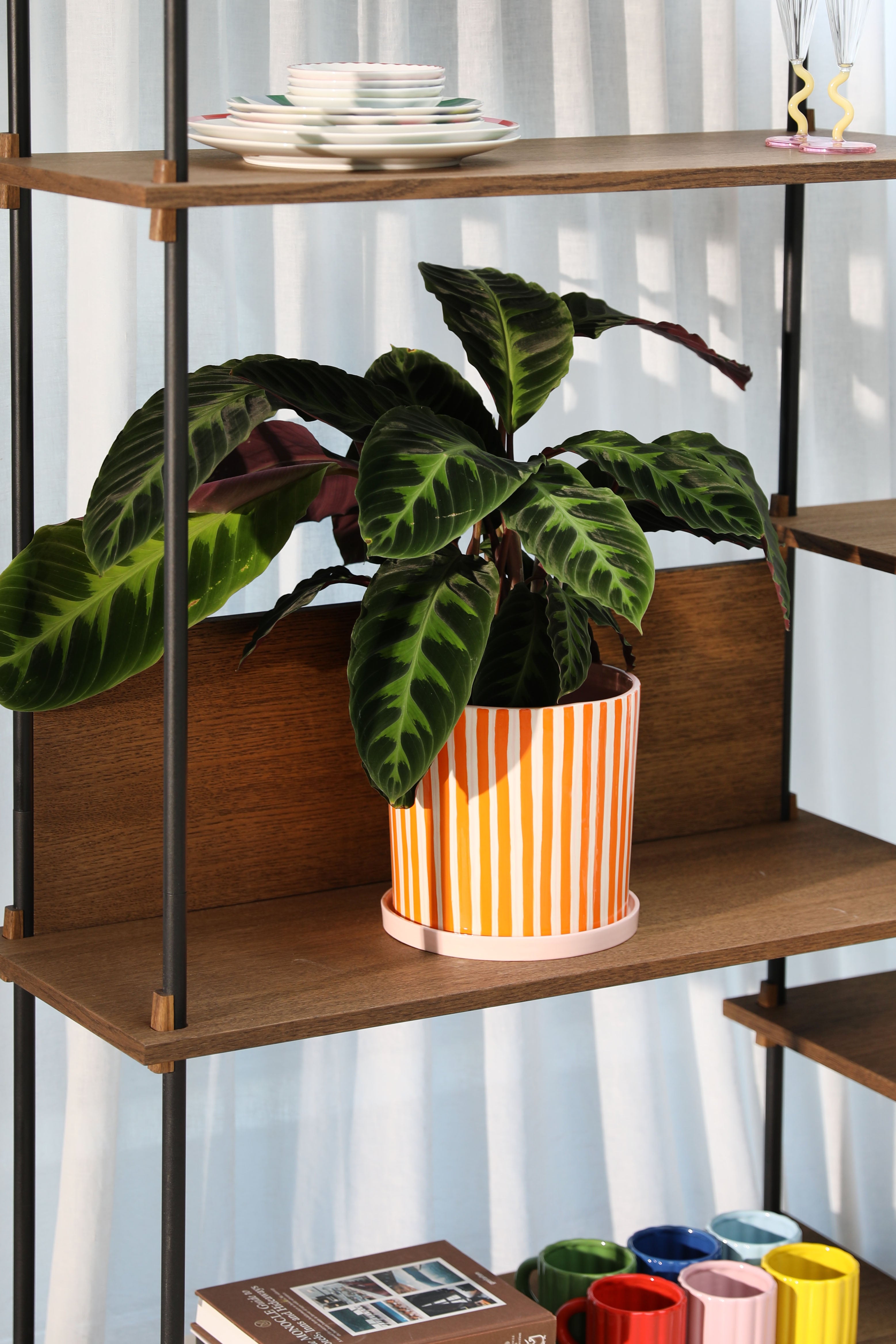 Květináč RAY oranžový s bílou a růžovou