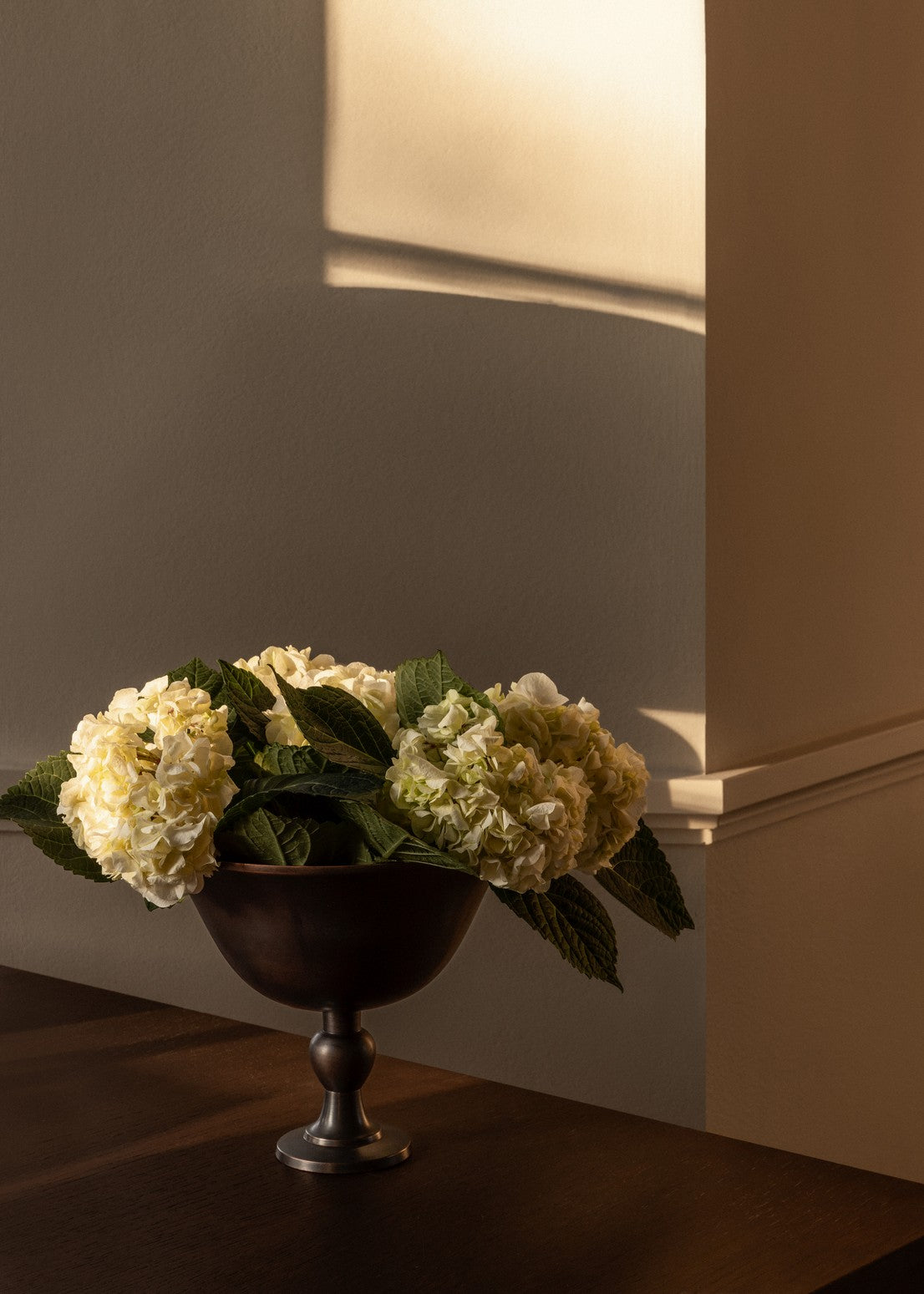 Misa PAVOT brązowe aluminium