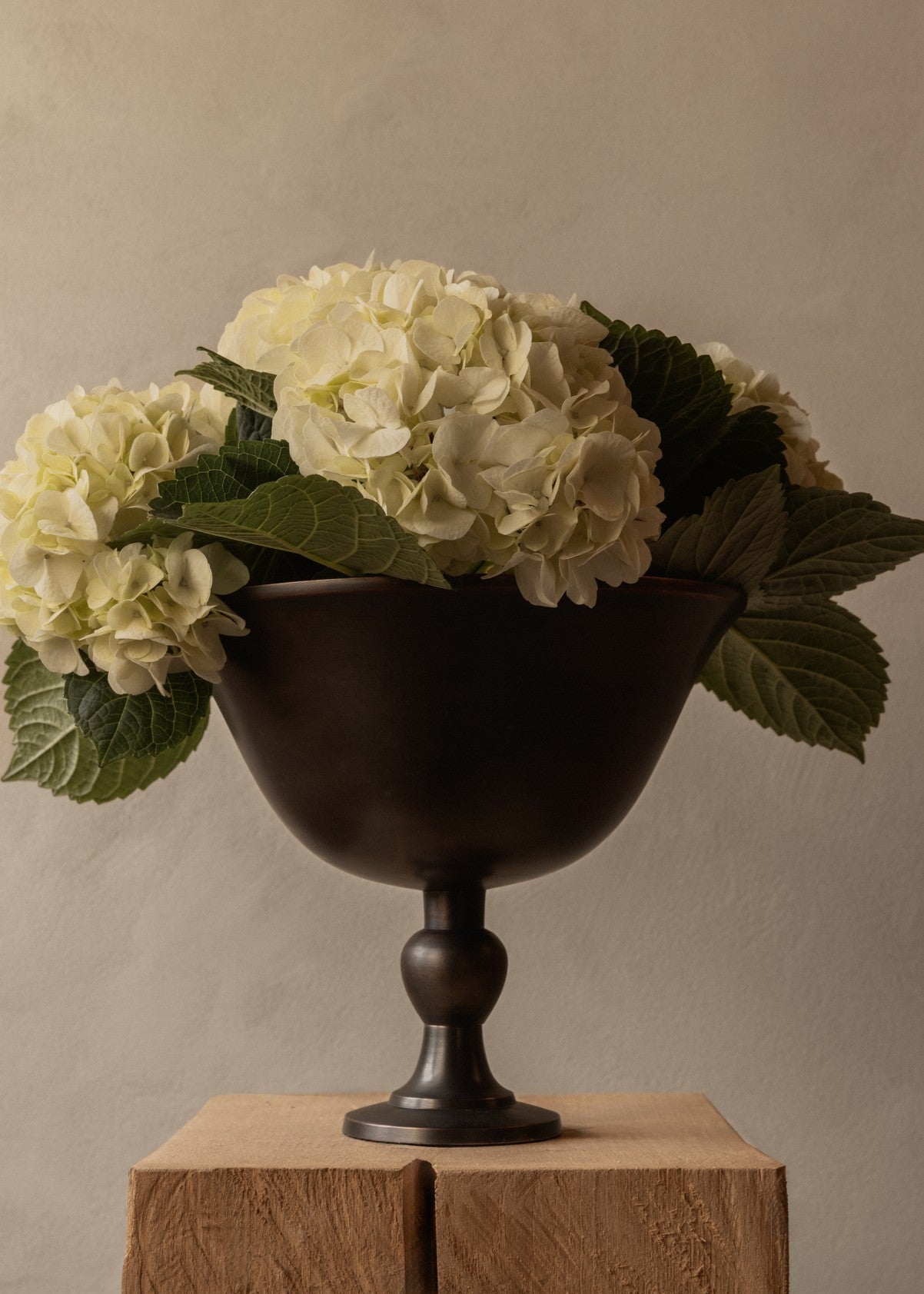 Misa PAVOT brązowe aluminium