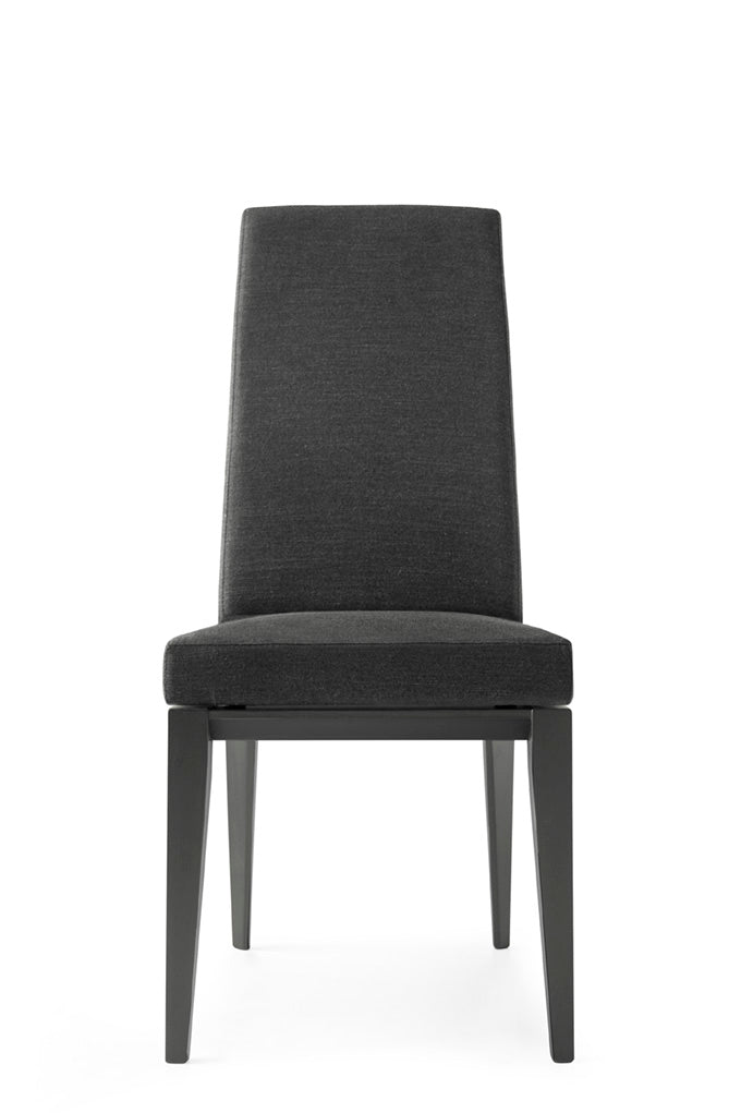 BESS upholstered chair with graphite wooden base