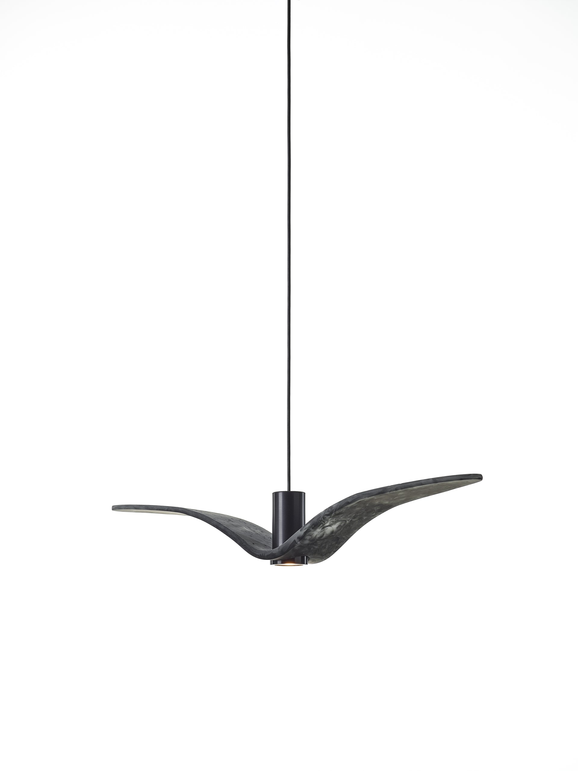 Outer hanging lamp Night Birds Exterior Glass