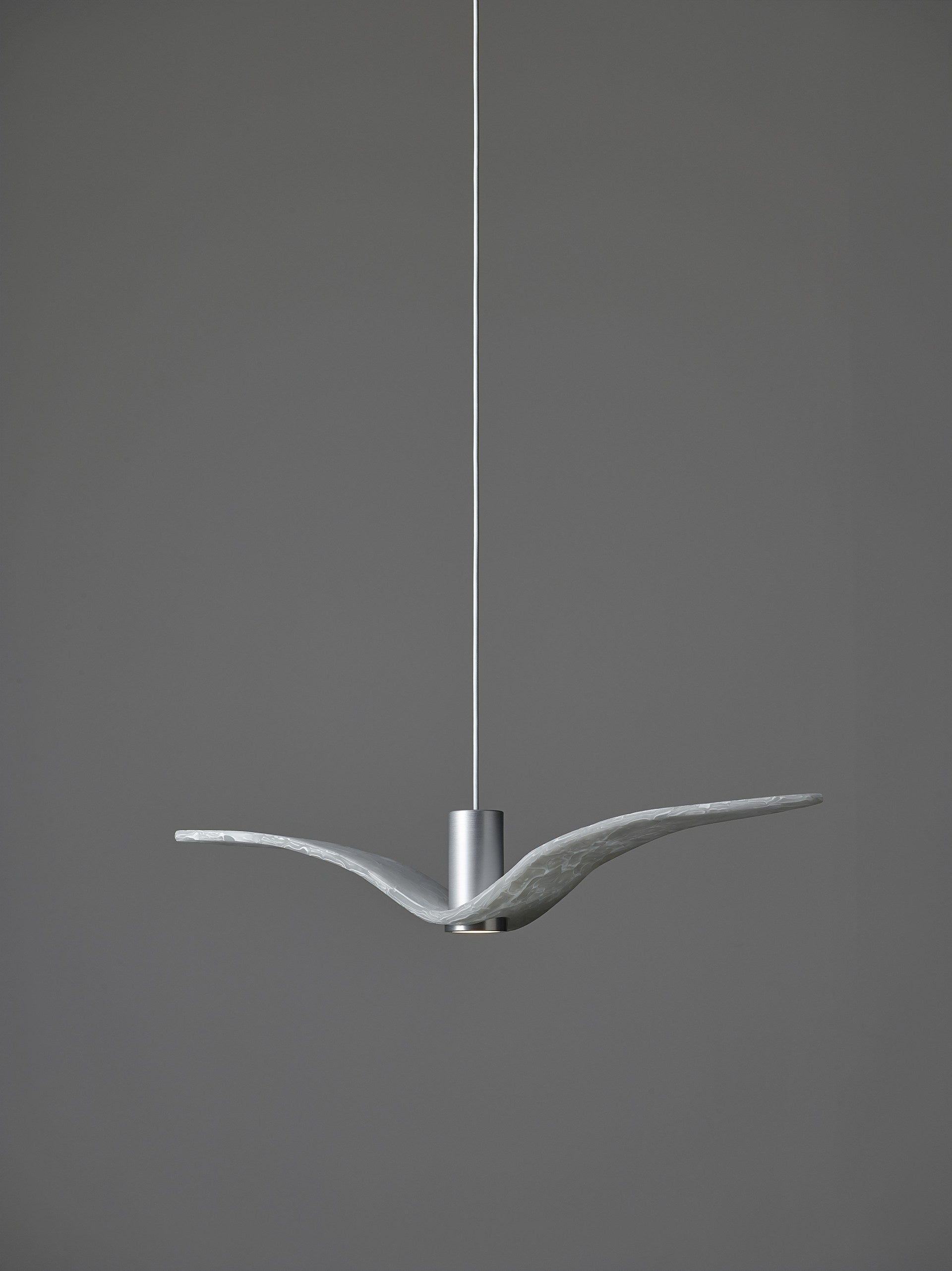 Outer hanging lamp Night Birds Exterior Glass