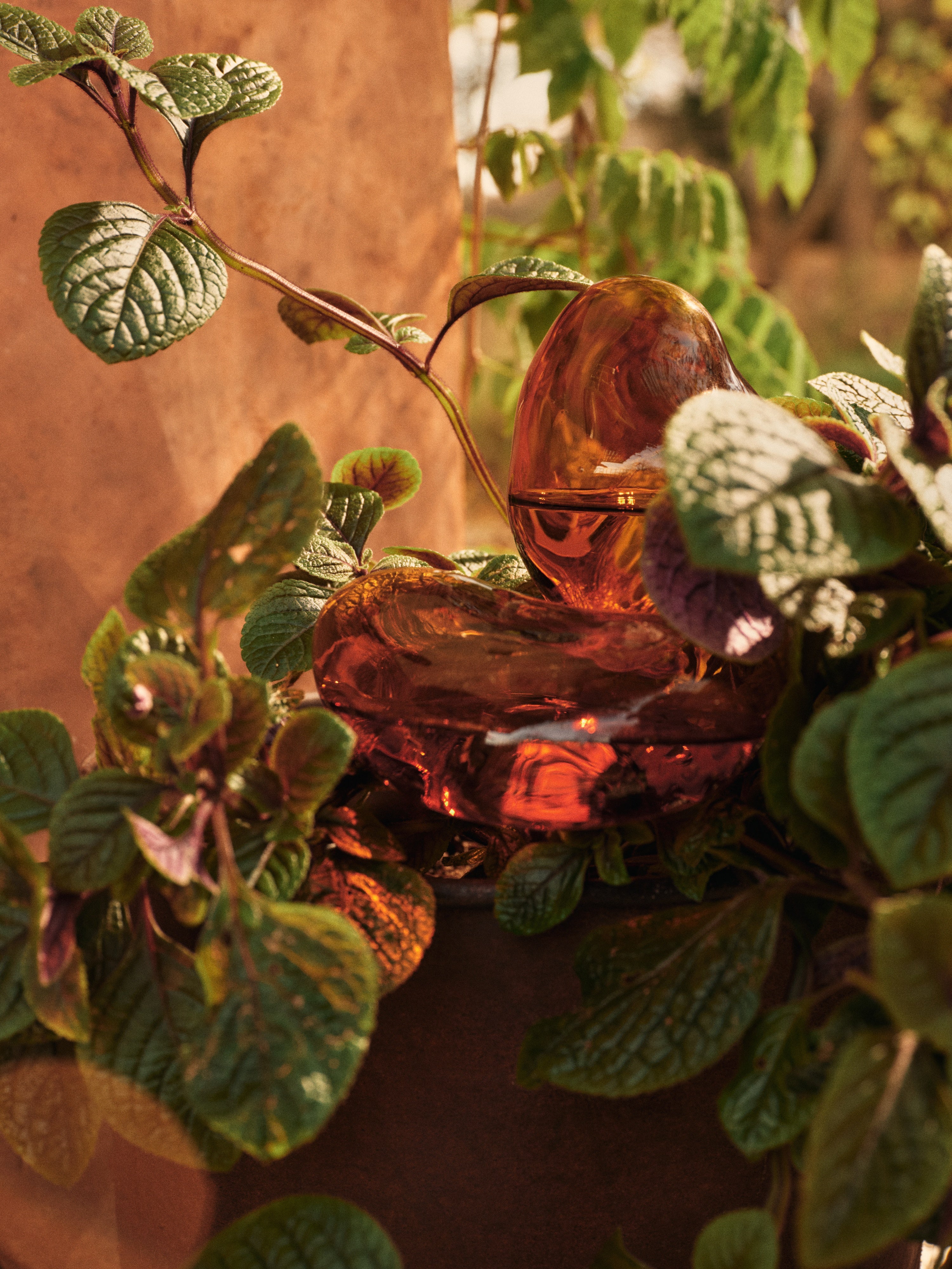 MERCURY Amber Glass Irrigation Ball Set