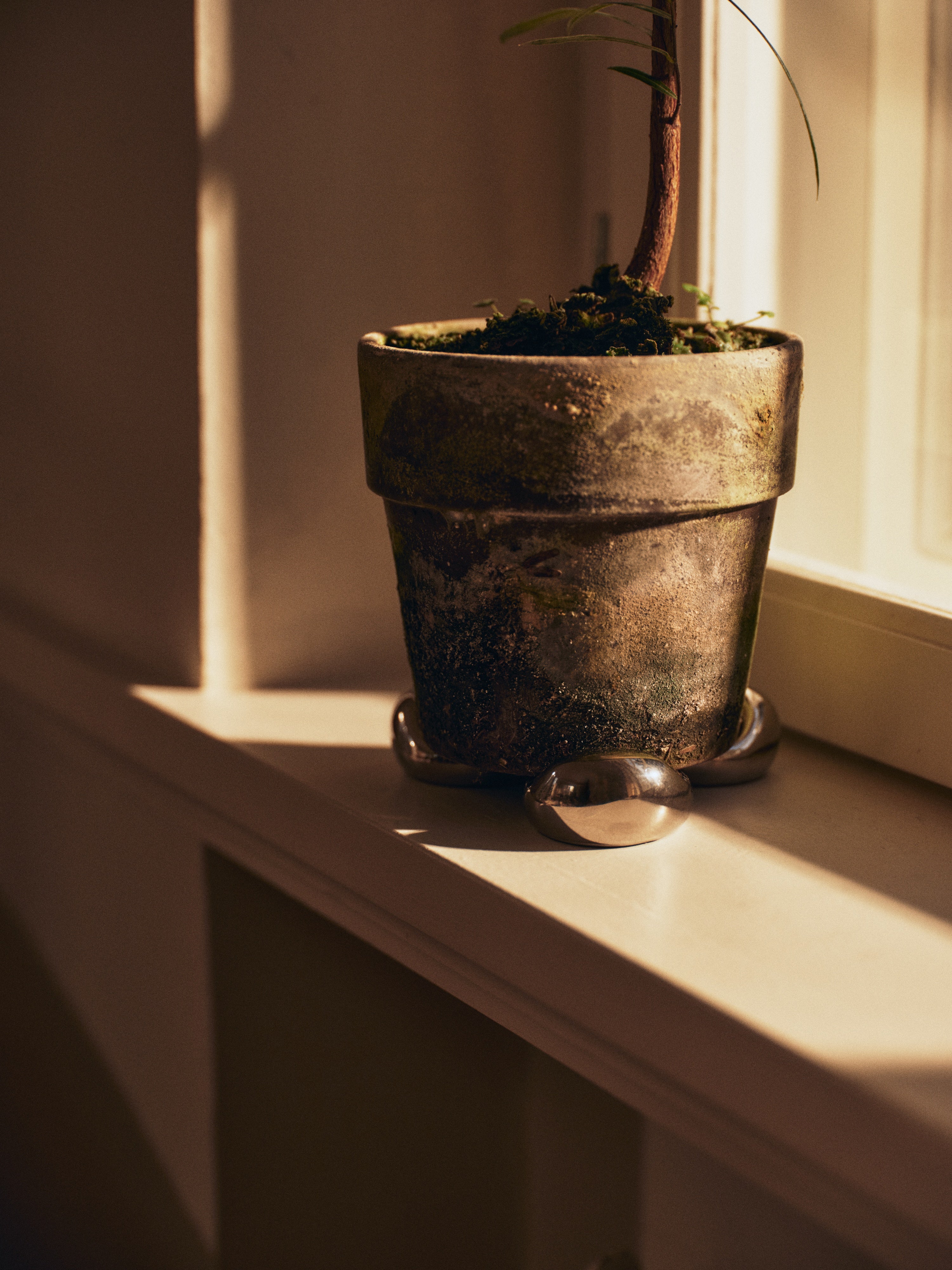 Sada podtácků pod květináč NUBE stříbrná