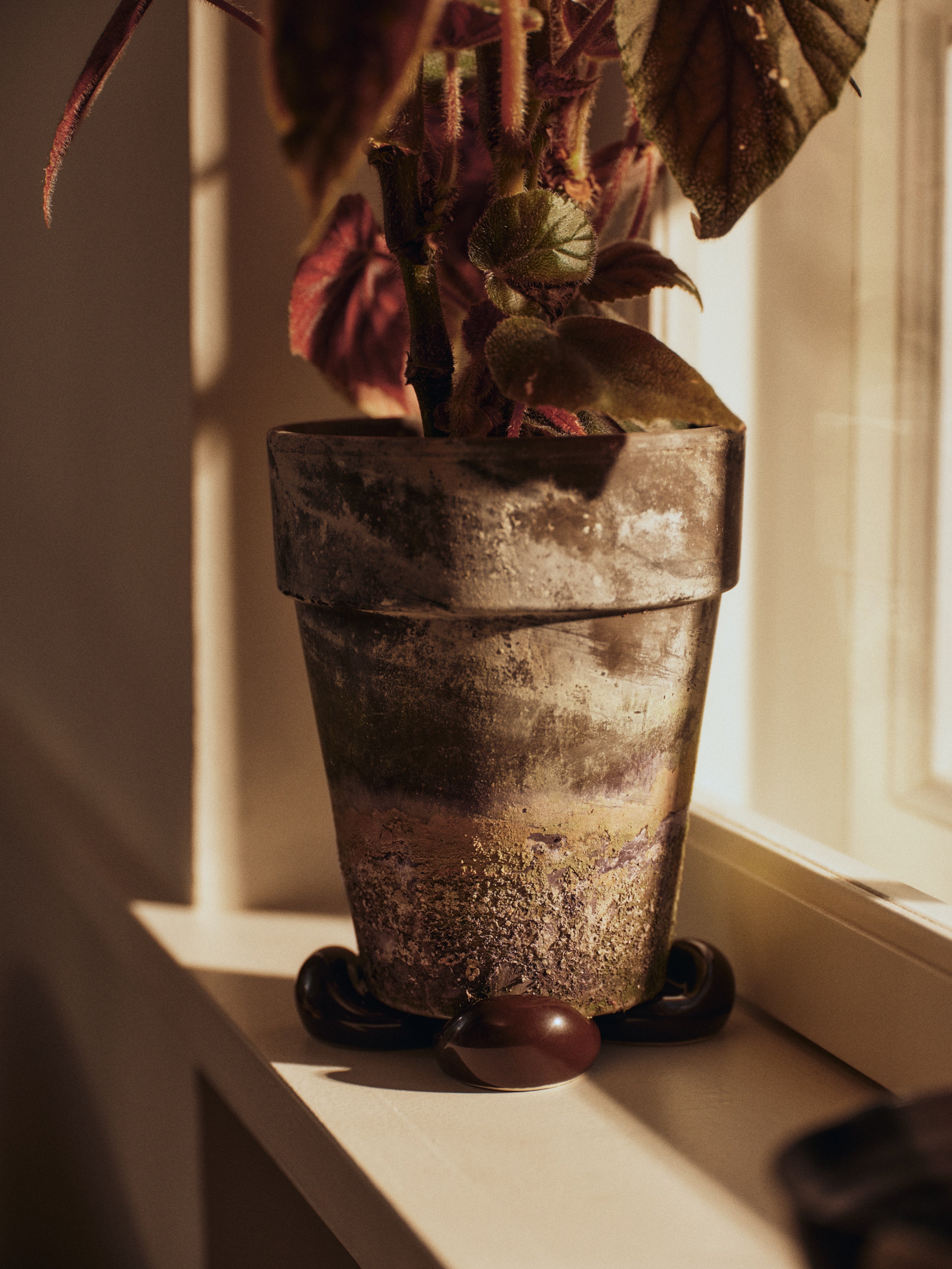 NUBE Brown Planter Coaster Set