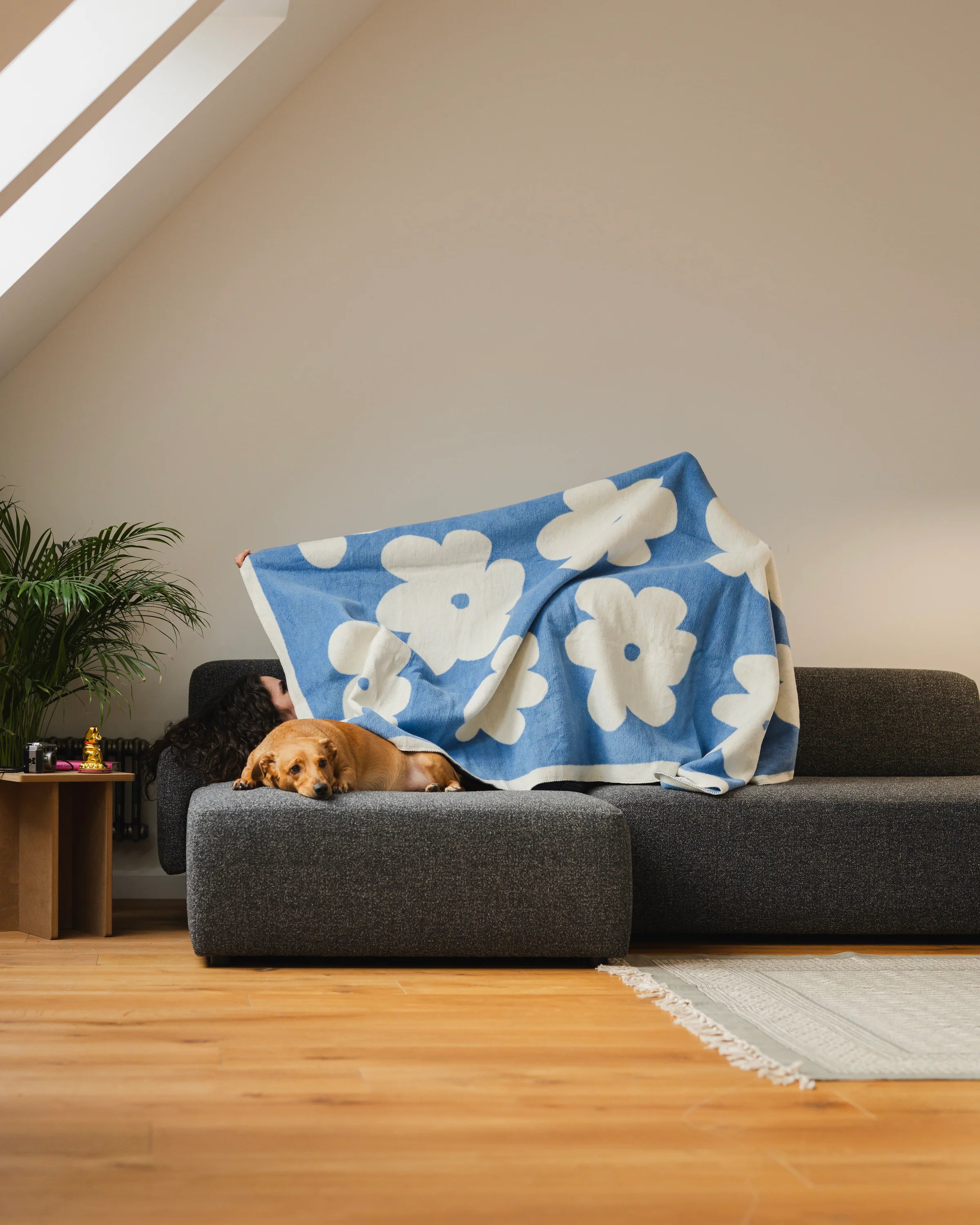 Koc FLO sky blue and ecru