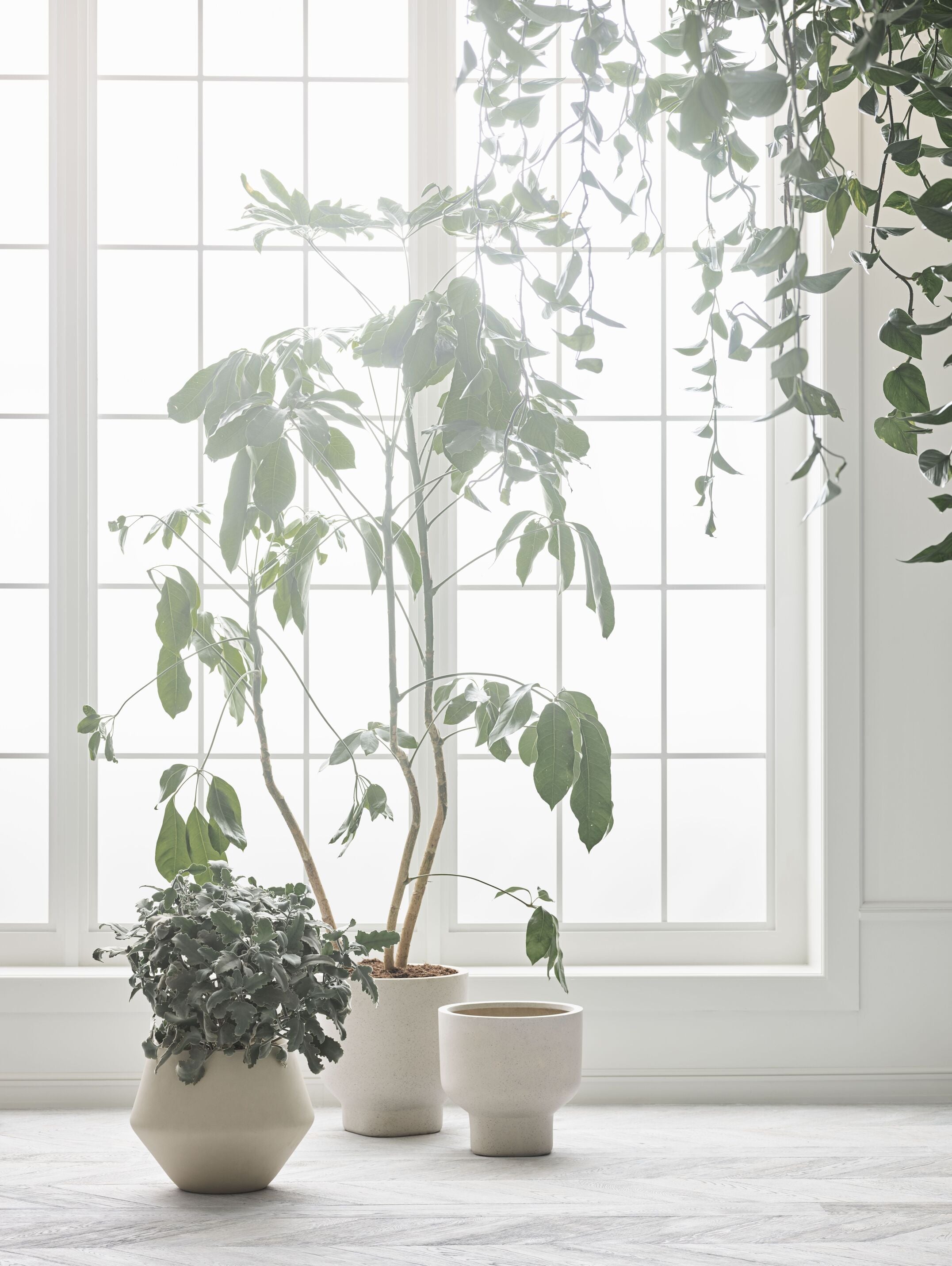 Donica GROVE kremowa ceramika